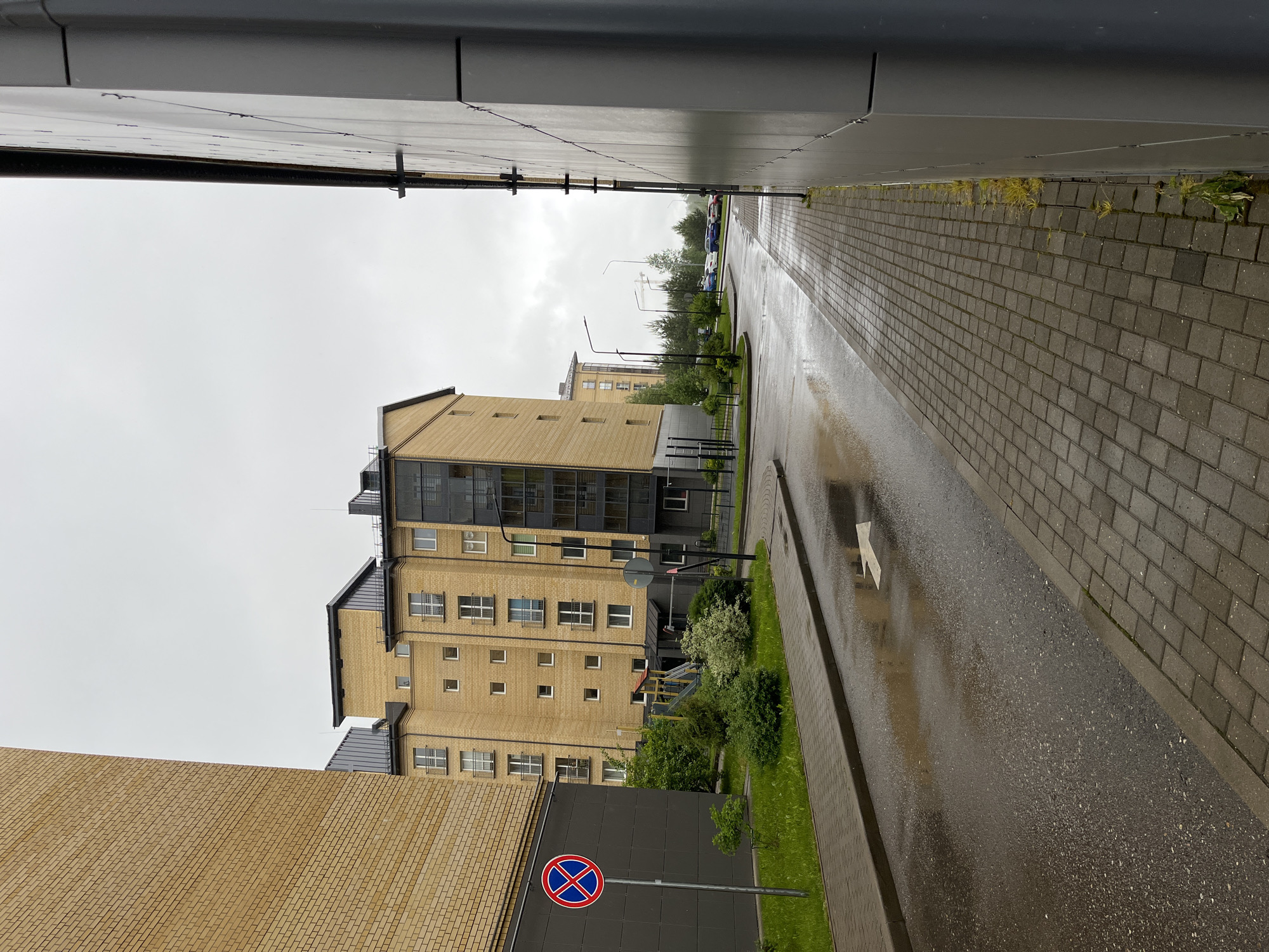 The image depicts a street scene in Mokshino, Russia, on an overcast day with wet pavement. The street is lined by modern, multi-story apartment buildings constructed of yellow brick and grey panels. A no-parking sign is visible near the bottom of the image. The street appears to be paved with asphalt, with a brick-paved sidewalk. Streetlights are positioned along the street. Cars are parked further down the road. A grassy strip with some small shrubs separates the building from the street.