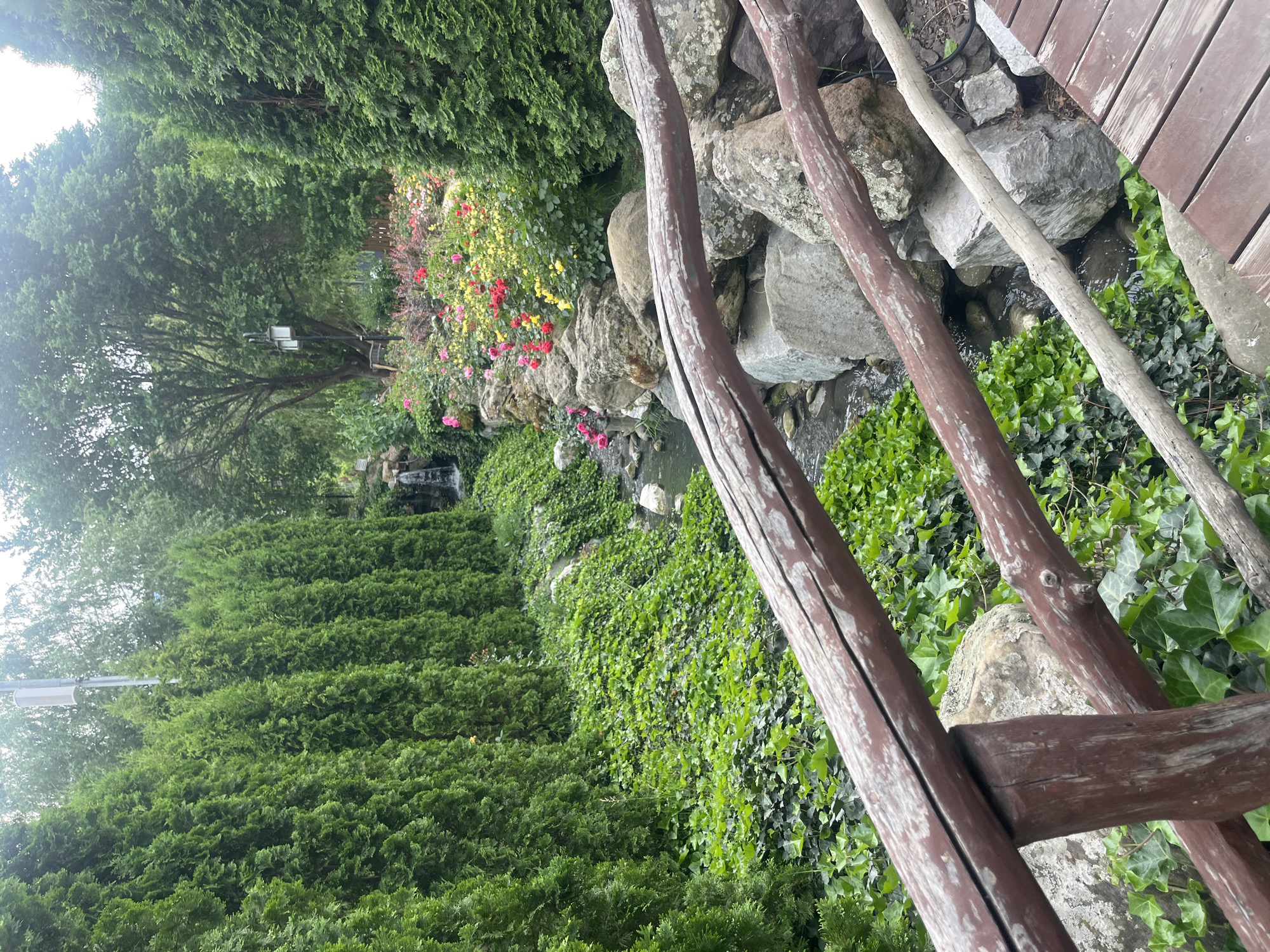 The image depicts a garden scene in Miatli, Russia. A wooden fence made of branches and a section of a wooden bridge are in the foreground. The midground contains a landscaped garden with a small stream. The stream is lined with rocks, ivy, and flowering plants in red, yellow, and pink. A small waterfall is visible in the distance. Closest to the camera are trimmed evergreen shrubs arranged in layered rows. Additional trees are visible in the background, partially obscuring a light post.