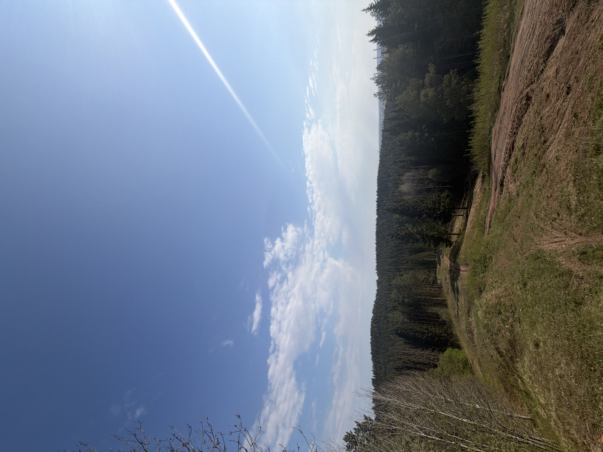 The image shows a landscape scene, likely taken in a rural or natural setting. The left portion of the image is dominated by a clear blue sky with a few scattered white clouds, and a bright linear light artifact from the camera lens. The right portion features a dense forest with a variety of trees, and a dirt path running along a grassy field, indicating possible human or animal activity. There are no people visible. The scene appears to be outdoors, during daylight hours. Based on the landscape and vegetation type, it is challenging to determine the specific location in Perm, Russia, without further information. There are no distinctive urban elements or landmarks visible to confirm the location within that city.