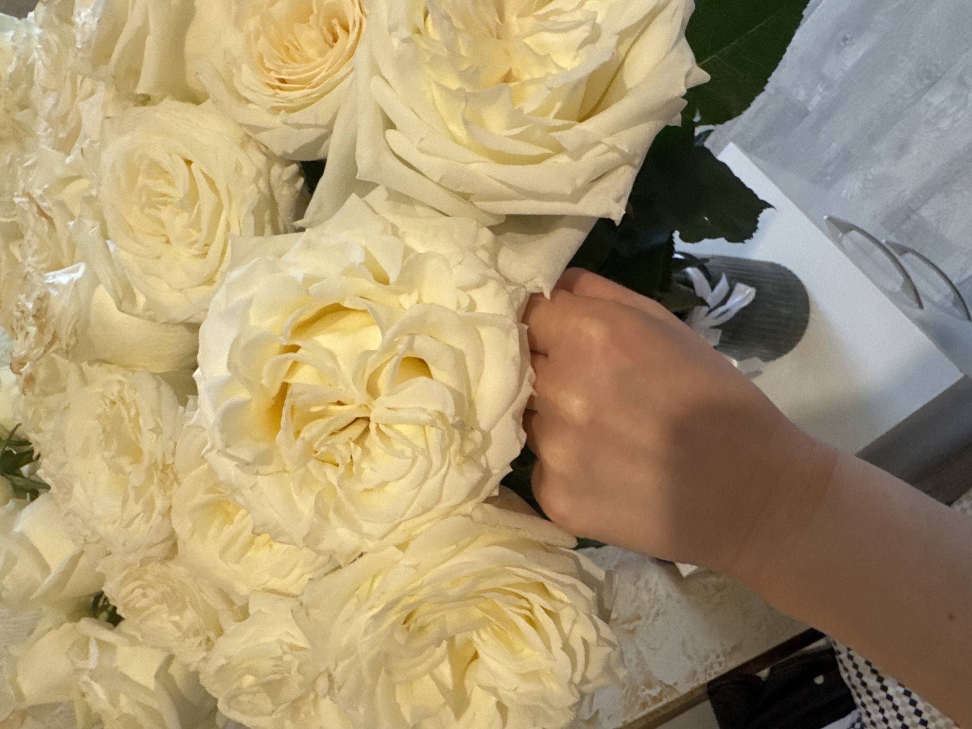 A bouquet of white roses is presented in an indoor setting. A person's hand partially obstructs the view of the flowers. A vase or container holding the flowers is visible on a light-colored surface, possibly a table. The location is unspecified.