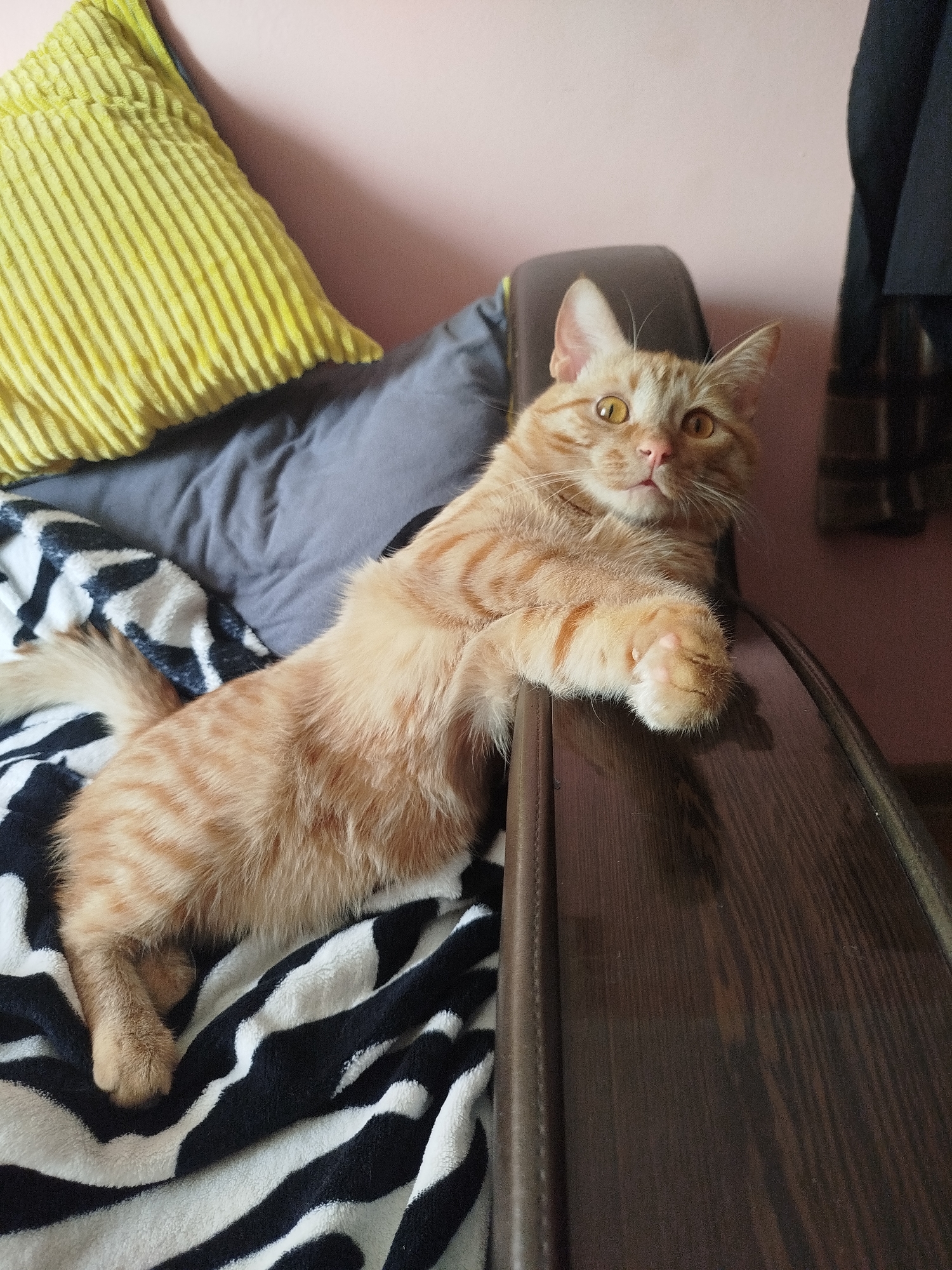 A ginger tabby cat with striking amber eyes is the subject of this image. The cat is lying on its side on a striped black and white blanket, with its front paws resting on the armrest of a dark brown wooden chair or sofa. Behind the cat, there is a soft yellow pillow and a gray cushion, suggesting a comfortable indoor setting. The background is a plain pink wall. The cat's fur is short and exhibits distinct tabby stripes. The overall scene is casual and domestic.