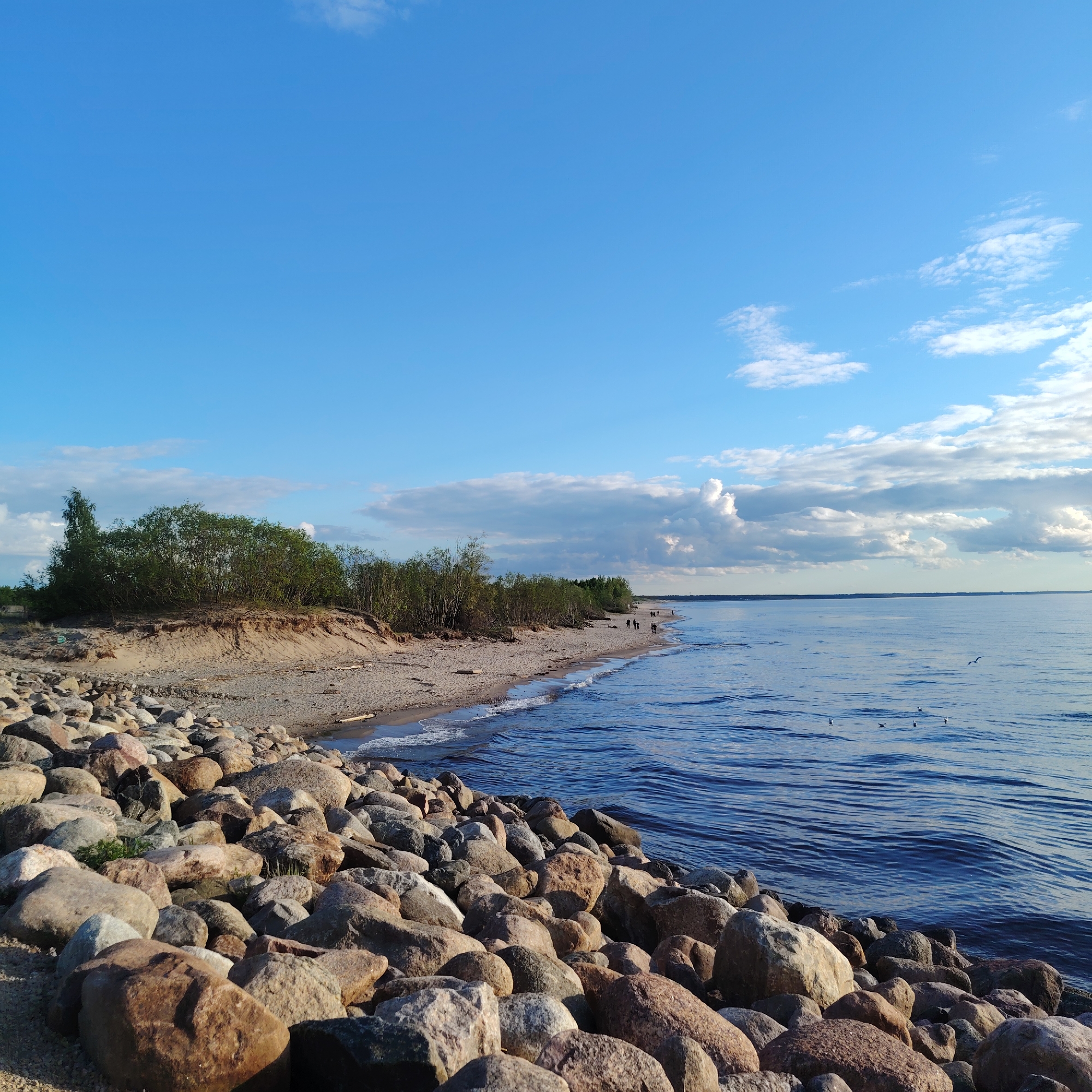 The photograph depicts a shoreline scene at Riga, Latvia. The foreground is dominated by large, rounded rocks. A beach stretches along the water's edge. A line of trees and shrubs grows behind the beach. In the distance, several individuals are walking along the beach. The water is calm with slight ripples. The sky is blue with scattered clouds.