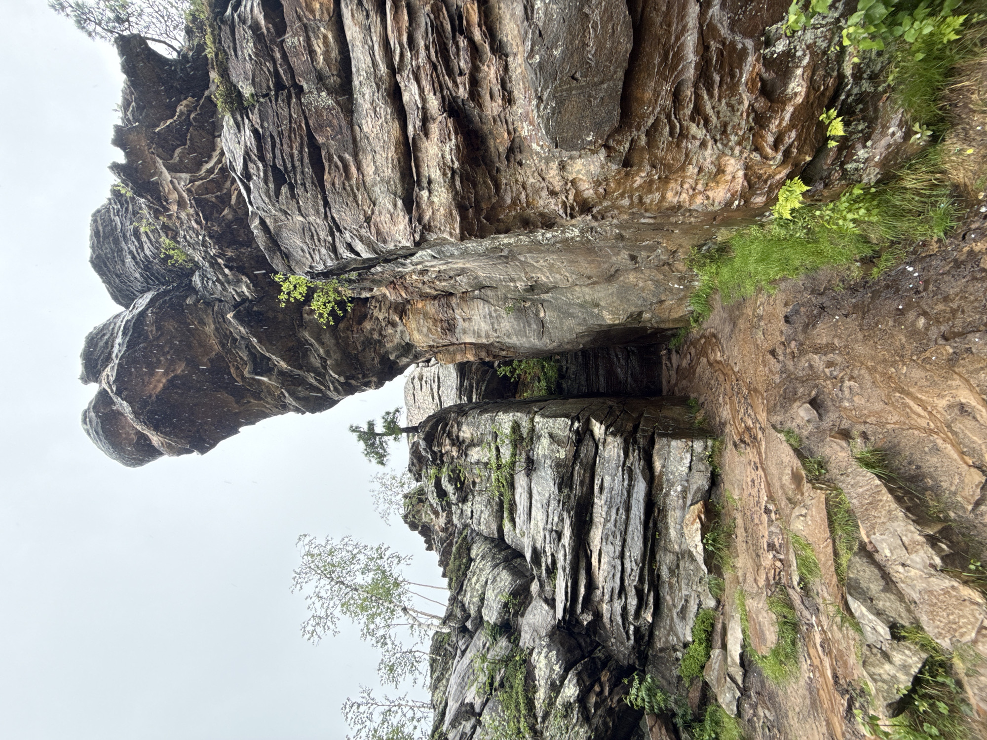 The image depicts a natural scene featuring large, weathered rock formations and a narrow, muddy path winding between them. The rocks are layered and appear to be made of sedimentary material, with a rough texture and varying shades of brown, gray, and reddish-orange. Some patches of green moss and small plants are growing on the rocks and along the path. Several slender trees with sparse foliage are visible on the left side of the frame, growing from the rocky terrain. The sky is overcast and appears to be a light gray, suggesting a cloudy or rainy day, with some small white specks that could be rain or snow. The overall impression is one of a rugged, natural landscape, possibly a hiking trail or a geological formation. The location is identified as being in the city of Shumikhinskii, Russia.