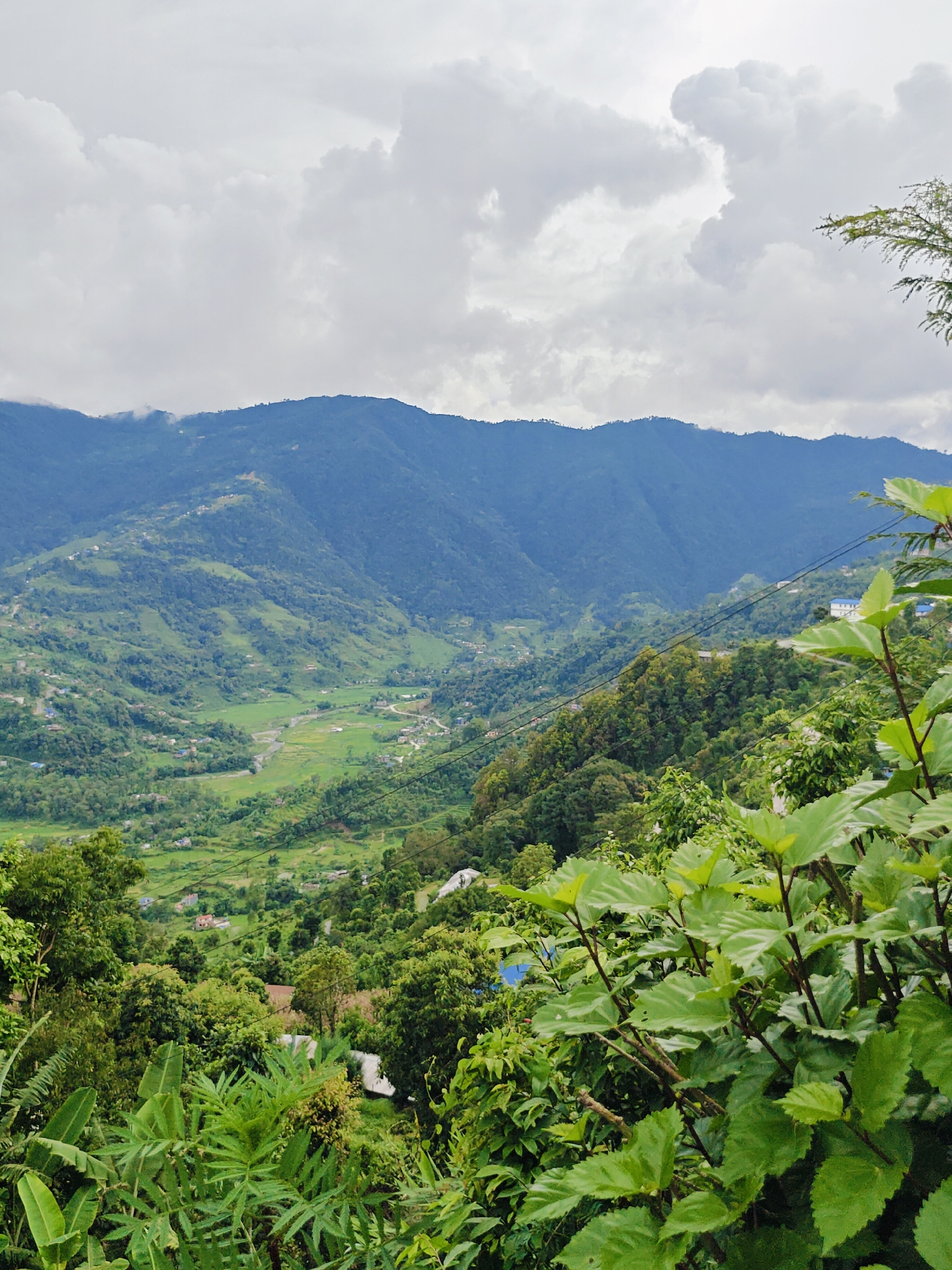 The image captures a panoramic view of a lush, mountainous landscape, likely a rural area near Pokhara, Nepal. In the foreground, dense green foliage, including large, broad leaves and banana-like plants, obscures the lower portion of the scene. As the view recedes, rolling hills covered in verdant trees and cultivated fields become visible. Small clusters of buildings, typical of a village settlement, are scattered across the landscape, some with blue rooftops. A winding river or stream can be seen flowing through the valley. In the middle ground, a road snakes along the side of a hill, with power lines crossing the frame. The distant background is dominated by larger, mist-shrouded mountains, their peaks partially obscured by a cloudy sky. The overall impression is one of natural beauty and rural tranquility.