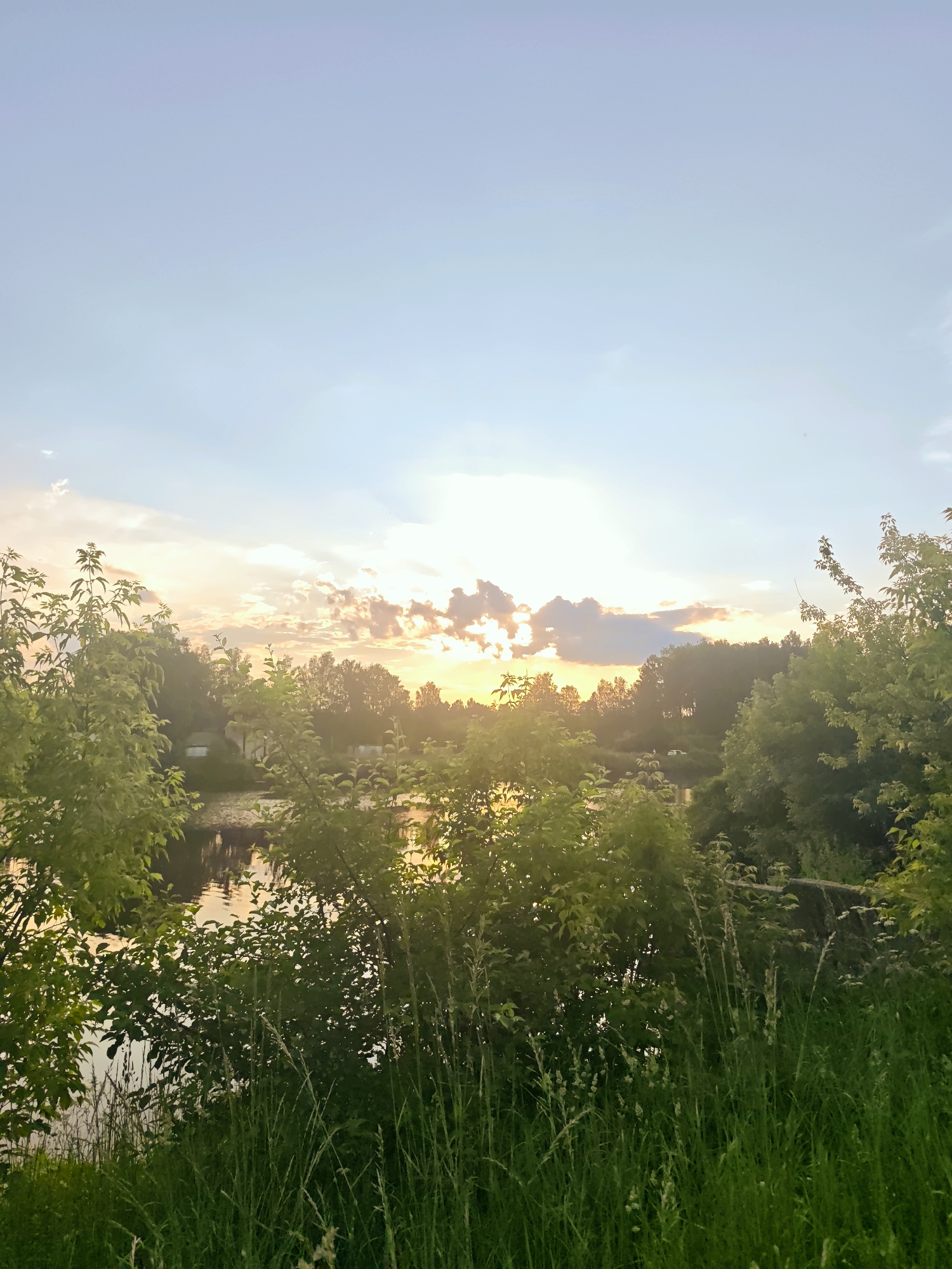 The image depicts a serene sunset over a body of water, likely a river or lake, in Dedenevo, Russia. The sky is painted with soft hues of blue, yellow, and orange, with scattered clouds catching the last rays of the sun. Lush green trees and vegetation line the banks of the water, creating a natural border. In the distance, faint outlines of buildings suggest a settled area. The foreground is dominated by tall grass and leafy bushes, framing the tranquil scene. No people or explicit actions are visible, emphasizing the peaceful ambiance of the natural environment at dusk.