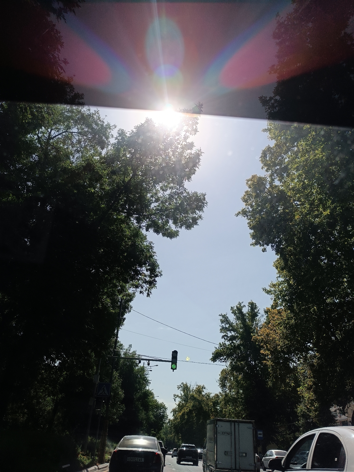 A medium shot captures a street scene in Tashkent, Uzbekistan, with lush green trees lining both sides of a road. The sky above is clear and bright, with the sun prominently featured and causing lens flare. In the foreground, a black car with a license plate reading "01 H911 HA" is visible, indicating it is the viewer's perspective is from inside a vehicle. Further down the road, a white truck with a license plate starting with "02" is observed, along with other vehicles. A traffic light displaying green is also present, suggesting the flow of traffic. The overall impression is a sunny day in a city park-like setting, with the urban environment blended with natural elements.