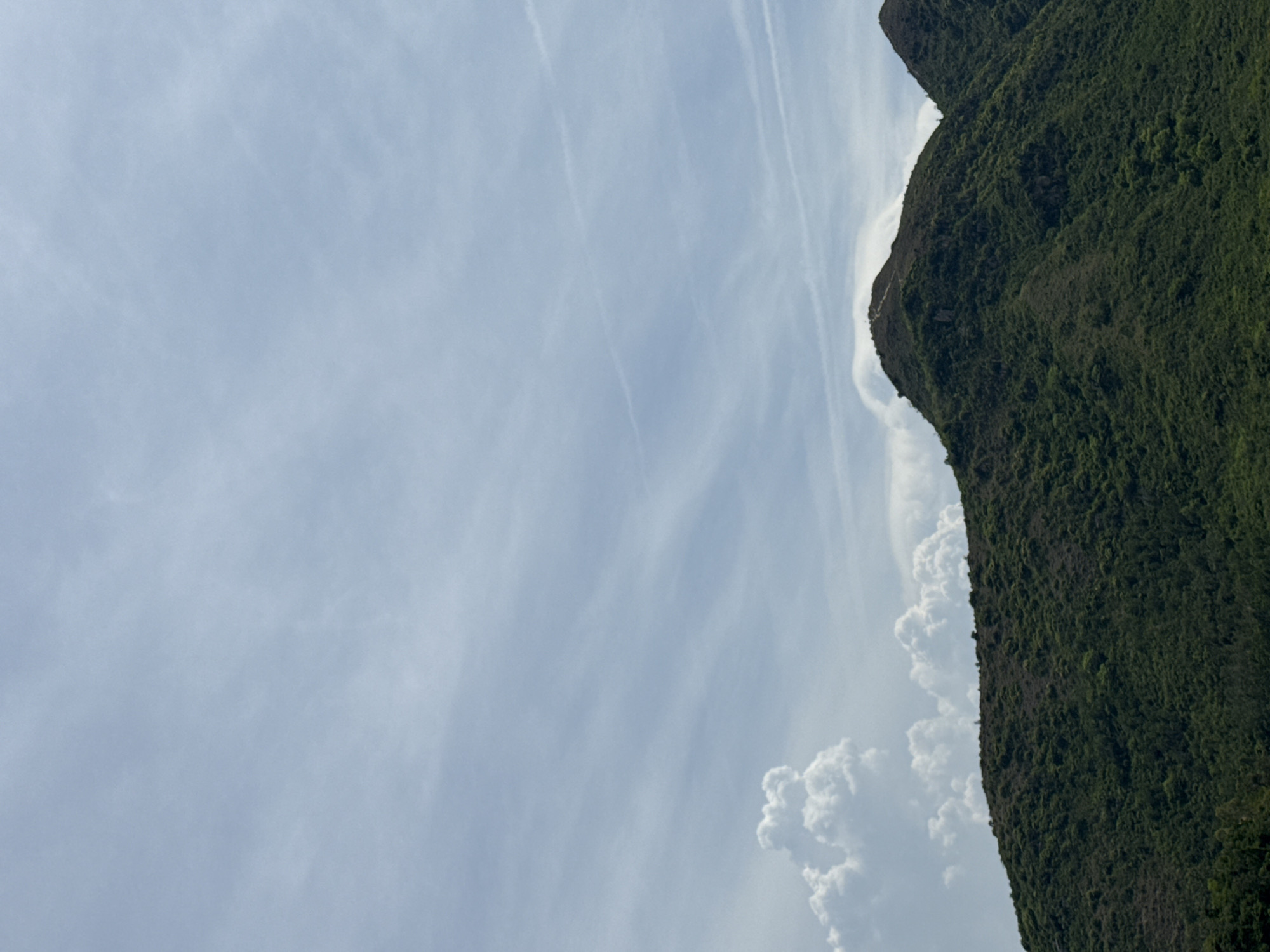 The image captures a vast expanse of the sky above a densely forested mountain range. The sky is a pale blue, streaked with wispy white clouds that appear to be moving horizontally. Some of the clouds are more prominent and cumulus-like, particularly on the left side of the frame, while others are thin and elongated.
The mountains themselves are covered in a thick carpet of dark green vegetation, creating a rugged and textured landscape. The slopes are steep and uneven, with some visible rocky outcrops peeking through the foliage. The peaks of the mountains are rounded, and a faint, winding path can be seen ascending the side of the central peak.
The lighting suggests it is daytime, with the sun likely positioned above and slightly to the right, casting subtle shadows on the mountains. The overall impression is one of natural beauty and remoteness, with no signs of human habitation or activity other than the faint path on the mountain. The scene is devoid of people, objects, or specific actions. The environment is purely natural, focusing on the interplay of light, clouds, and mountainous terrain.