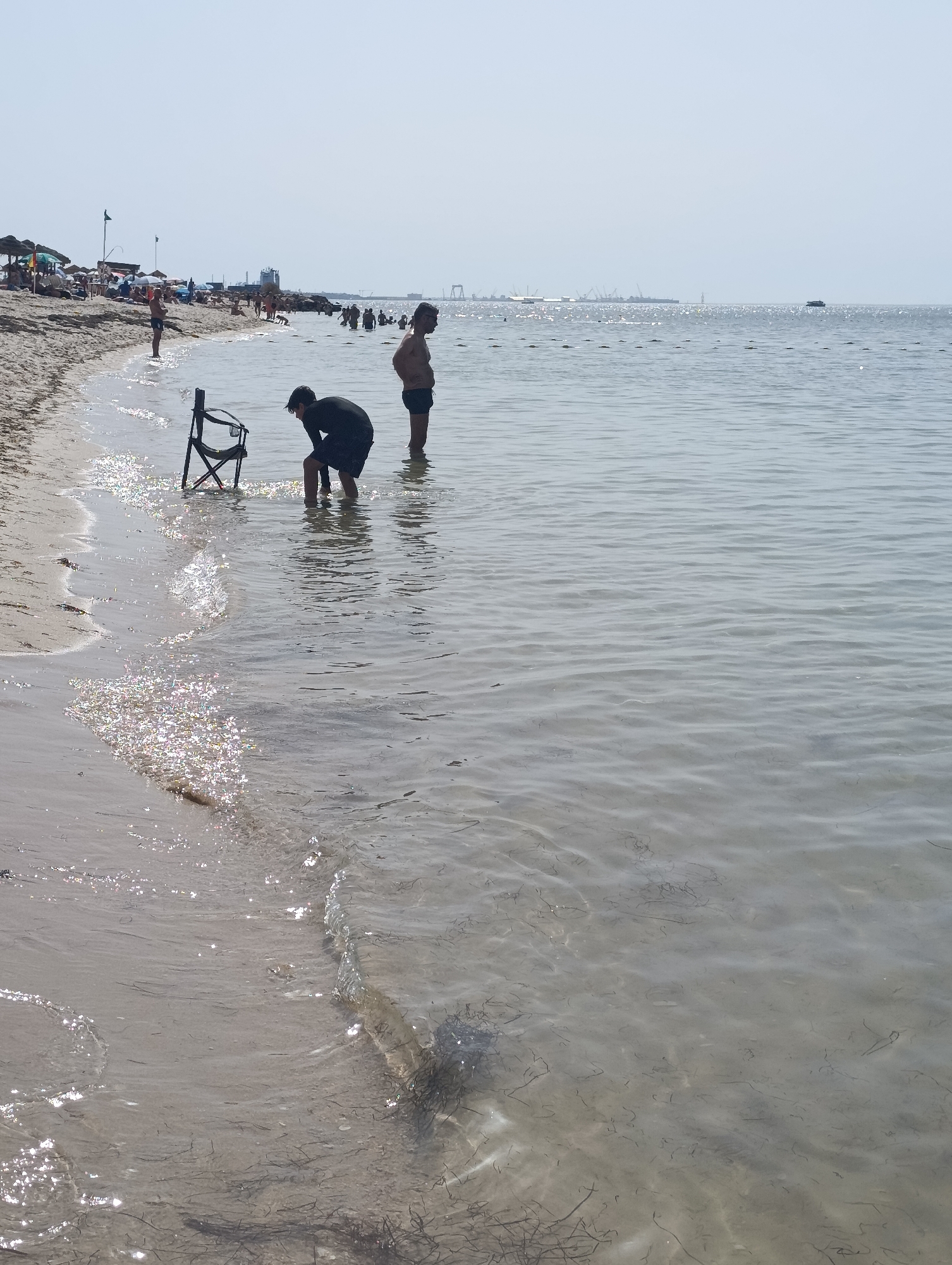 The image depicts a bright, sunny day at a crowded beach. The foreground shows shallow, clear water lapping at a sandy shore. Several strands of dark seaweed are visible on the seabed and mixed with the sand.
In the middle ground, a person wearing a black shirt and dark shorts is crouched down in the water, facing away from the camera. Next to them is a black, folding beach chair. To the right, another person, an adult male with dark shorts, stands in the water, facing left.
The background reveals a bustling beach with numerous people sunbathing on the sand and swimming in the sea. Further in the distance, a coastline is visible with structures that appear to be part of a port or industrial area, including cranes. A small boat is also present on the horizon. The sky is a pale, hazy blue, suggesting a warm, possibly humid, day. While the image shows a beach, the presence of the distant port structures suggests it is a developed coastal area, possibly within or near the city of Setúbal, Portugal, known for its port facilities and beaches.