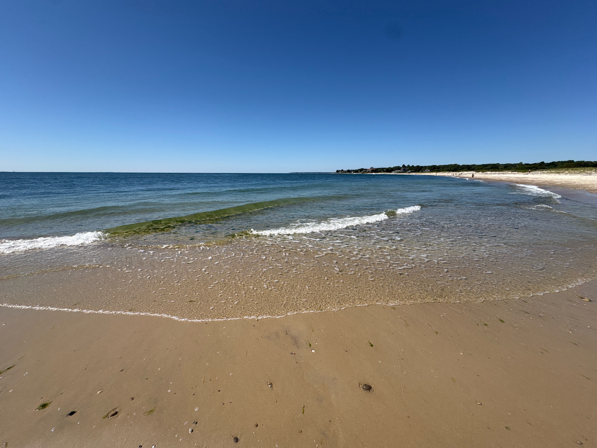 This is a wide-angle, eye-level view of a beach on a clear, sunny day. The foreground is dominated by a sandy beach with scattered small pebbles and some strands of seaweed. Gentle waves are rolling in, creating a foamy line where they meet the sand. The water is a translucent green-blue and appears shallow close to the shore, with a band of darker seaweed visible beneath the surface further out. In the middle ground, the ocean stretches to the horizon under a vast, clear blue sky. Along the distant shoreline, a line of trees and some buildings can be seen, suggesting a developed area beyond the natural beach. A few distant figures are visible on the beach, appearing as small silhouettes against the sand and water. The overall impression is one of a serene and idyllic coastal landscape. This scene is located at Ocean Beach Park in Waterford, Connecticut, USA.