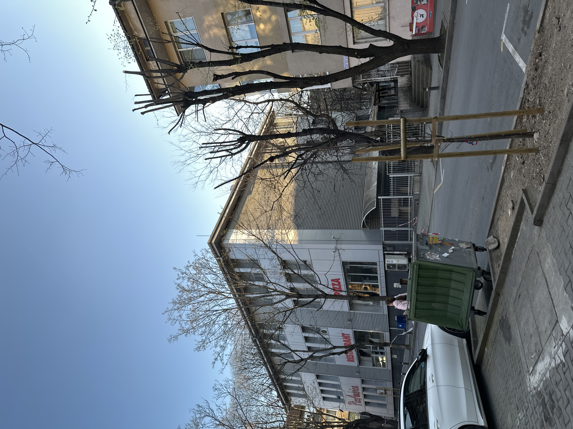 The image shows a street scene in Stara Zagora, Bulgaria. A white car is parked on the right side of the frame. A large green dumpster is located next to the car on the sidewalk. A person in a pink jacket stands near the dumpster. Across the street, a building with a sign that reads "Restorant Pizza" is visible. A bare tree stands in front of the building. On the other side of the street is an older building with multiple windows. Another bare tree is positioned near the older building, with wooden supports around it. The sky is clear and blue.