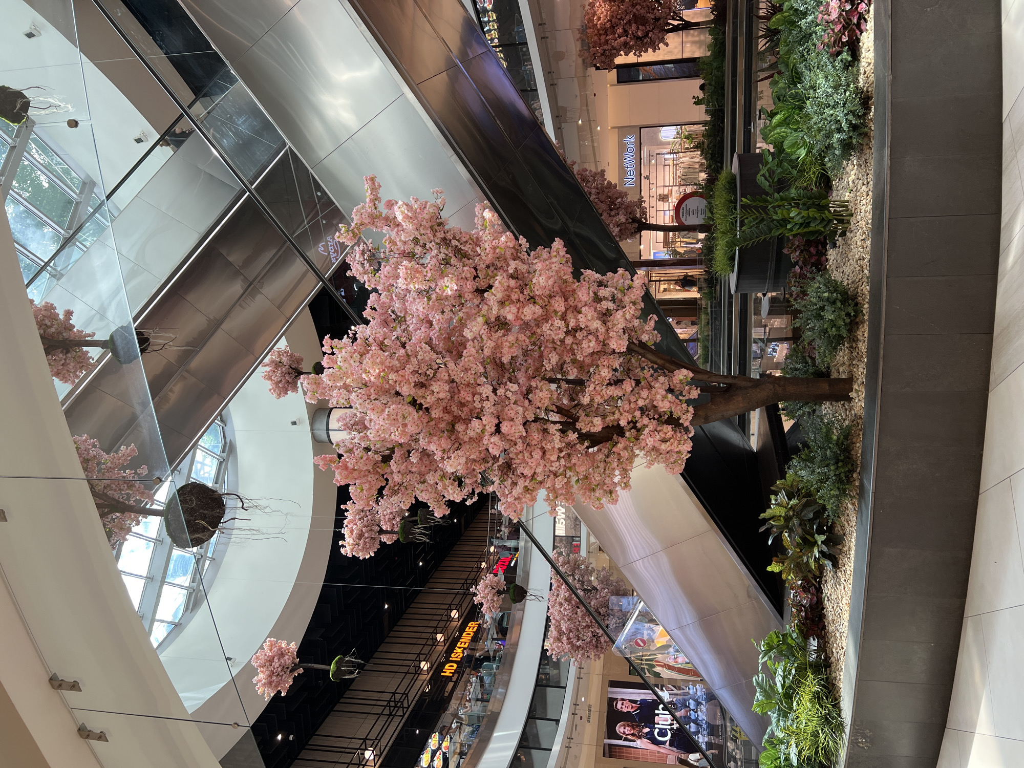The image shows a modern shopping mall with a large, artificial cherry blossom tree as the central subject. The tree, with its delicate pink blossoms and brown trunk, is positioned in the foreground, obscuring parts of the mall's architecture. The mall features multiple levels with escalators, reflective surfaces, and storefronts.
In the background, various shops are visible, including one with a "NetWork" sign and another labeled "HD İSKENDER." There are also several people scattered throughout the mall, though they are not the primary focus. In the upper part of the image, some of the mall's ceiling and structural elements are visible, including windows that suggest it is daytime. The scene is well-lit, typical of an indoor commercial space.
The overall impression is one of a vibrant and contemporary shopping environment enhanced by decorative elements like the cherry blossom tree and greenery. The image is captured from a low angle, looking upwards, which emphasizes the height and scale of the mall and the tree.