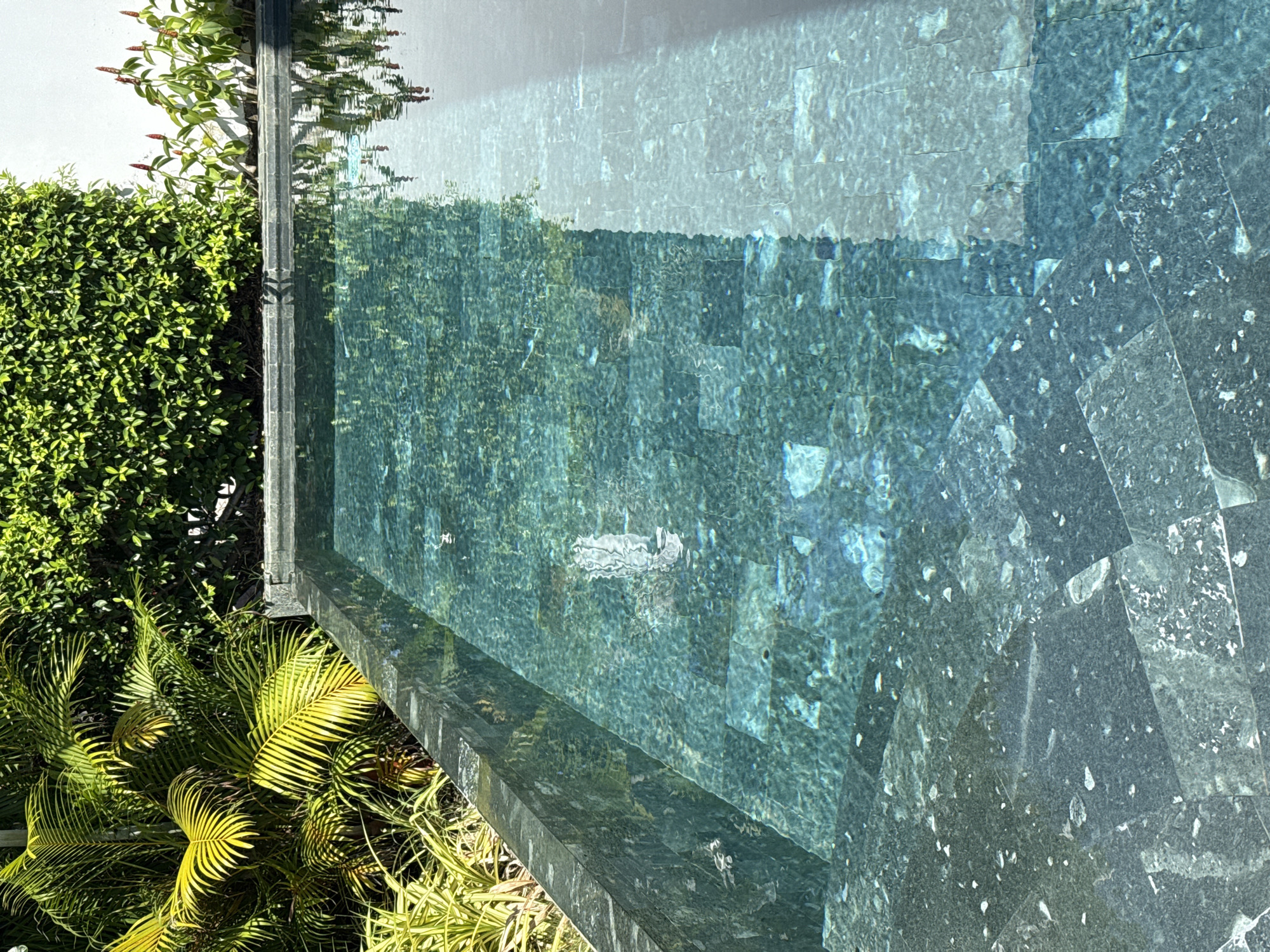 The image shows a close-up view of the steps of a swimming pool, with the water reflecting the surrounding lush green foliage and a white wall. The pool steps are tiled with dark, textured stone, and the water is a clear, deep turquoise. Sunlight casts dappled shadows and highlights on the water and the submerged steps, creating a sense of depth and tranquility. The vibrant green plants, including palm fronds and smaller leafy bushes, frame the pool on the left and in the background. Red flowering plants with long, slender stems are visible against the white wall on the right. The overall impression is of a serene and luxurious outdoor setting, possibly a private villa or resort in Cam Lâm, Vietnam, characterized by its tropical climate and abundant vegetation. There are no people visible in the image.