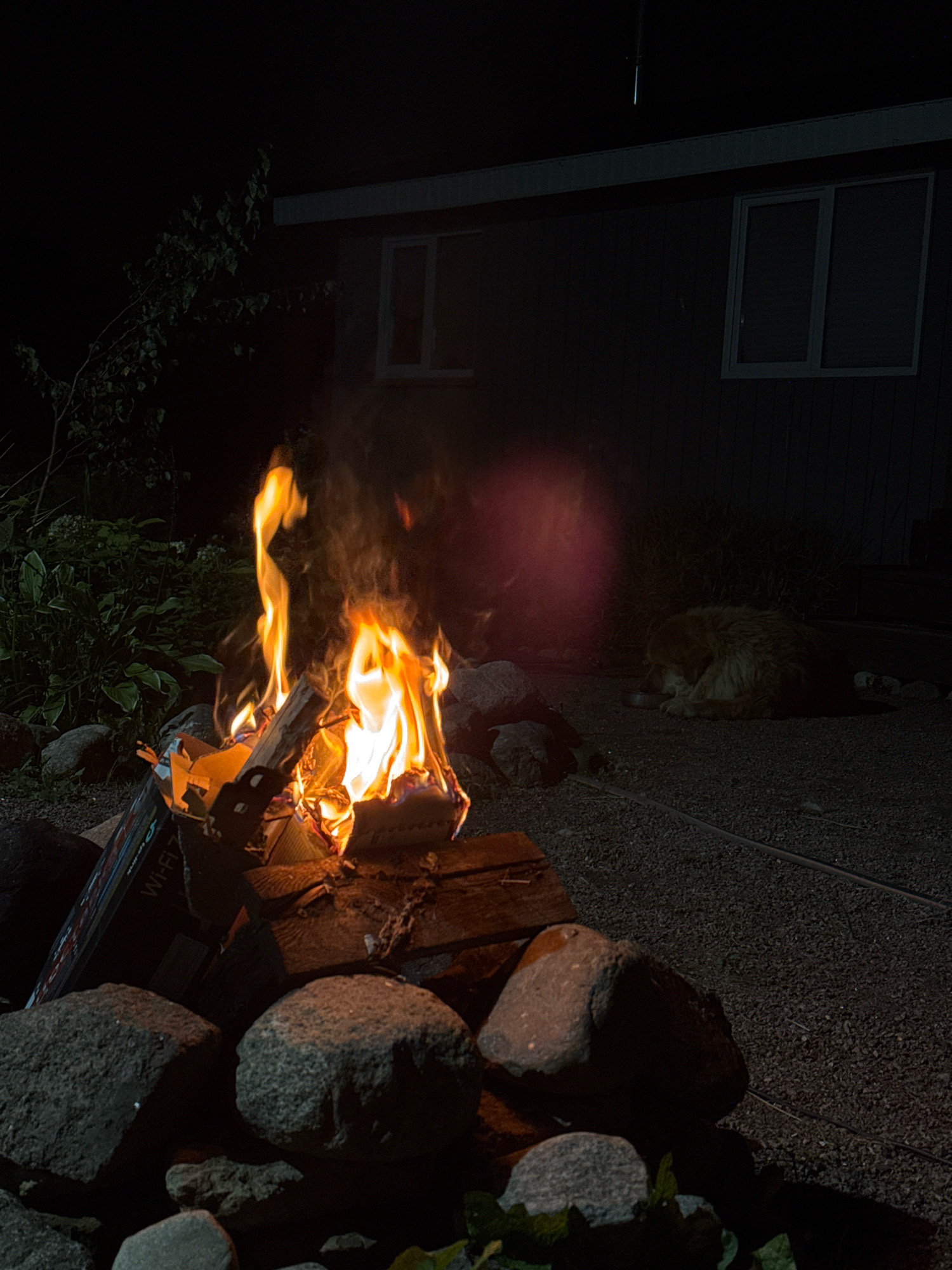 A nighttime outdoor scene in Kempelevo, Russia, features a bonfire burning in the foreground. The fire is constructed with wood and some cardboard boxes, one of which has visible "WI-FI" text. Large rocks surround the base of the fire pit. To the right of the fire, a golden-colored dog is sleeping on the ground. In the background, a dark-colored, single-story building with two windows is visible. Green foliage is present on the left side of the image, partially obscured by the fire and darkness. The ground is covered with gravel and dirt.