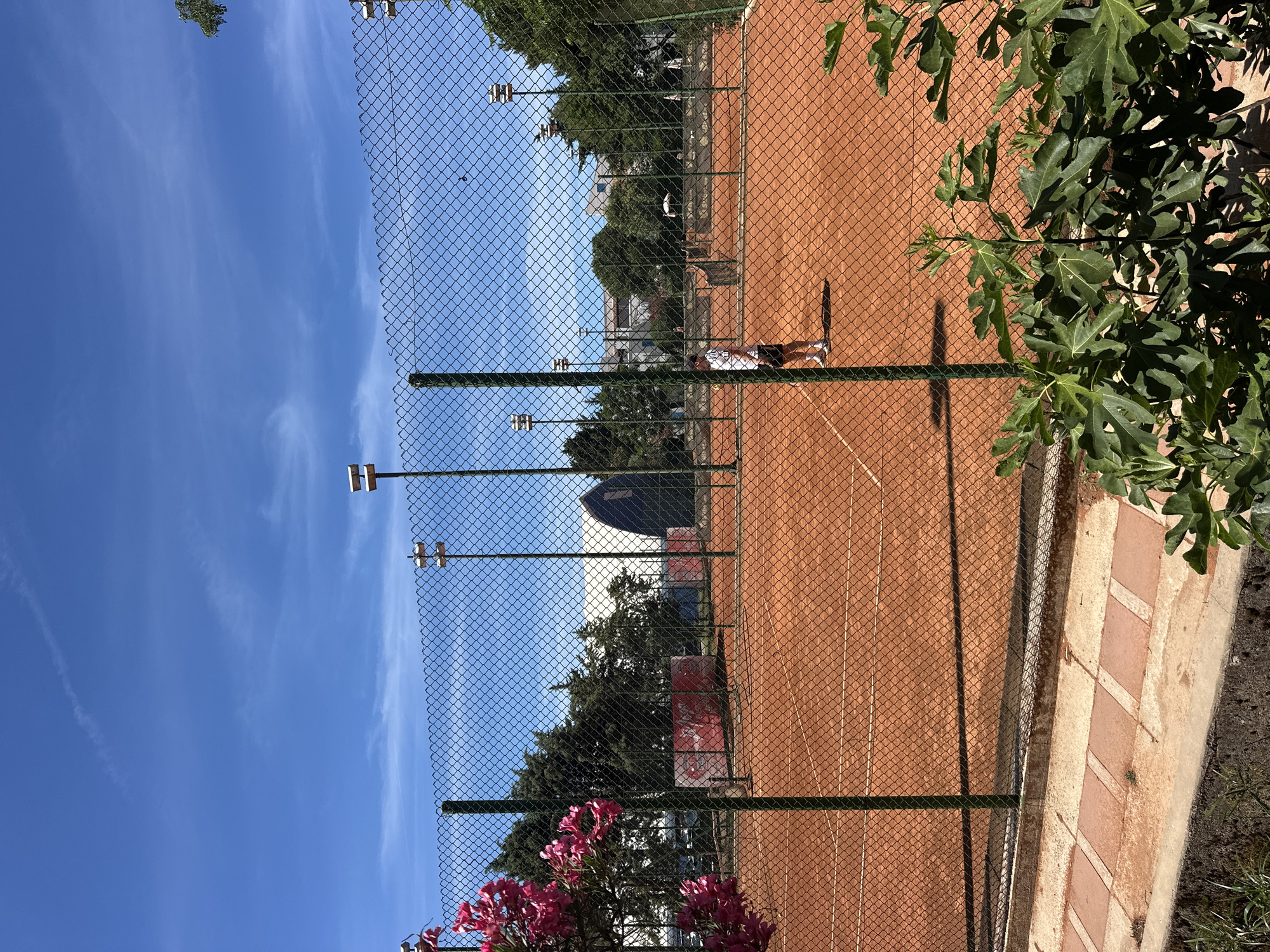 The image depicts an outdoor tennis court with a clay surface under a bright blue sky with scattered clouds. A chain-link fence runs across the foreground, obscuring parts of the court and the surrounding environment. On the court, a single person, dressed in a white t-shirt and dark shorts, stands near the net, holding a tennis racket. Several tall light poles are visible on the court, and in the background, trees and buildings can be seen. To the left of the frame, a cluster of bright pink flowers hangs down, partially covering the fence. The overall scene suggests a sunny day at a tennis facility, potentially located in Budva, Montenegro, given the architectural style of the buildings in the background and the lush greenery typical of coastal Mediterranean regions.