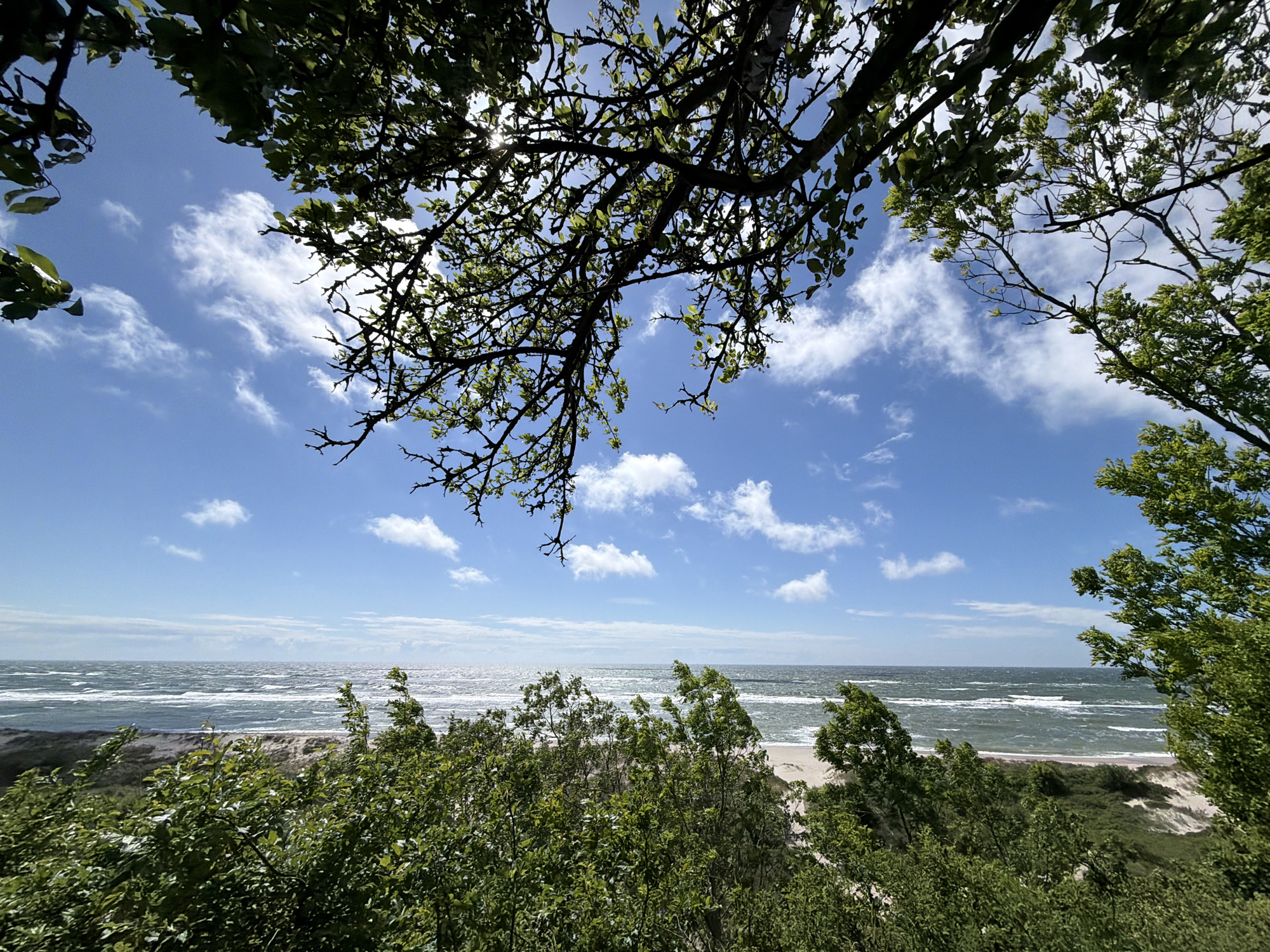 The image depicts a scenic view of a coastline with lush green foliage in the foreground and a vast ocean under a partly cloudy blue sky. The viewpoint is from an elevated position, looking down towards the sea. In the immediate foreground, branches and leaves of trees frame the upper portion of the image. Below this, dense green bushes and smaller trees partially obscure a sandy beach and dunes that lead to the ocean. The sea is choppy with whitecaps, indicating a breezy day. The horizon shows a subtle line where the sea meets the sky, with distant clouds stretching horizontally. The lighting suggests it is daytime, possibly late morning or early afternoon, with sunlight filtering through the tree branches. The scene is devoid of any people or man-made structures, focusing entirely on the natural landscape.