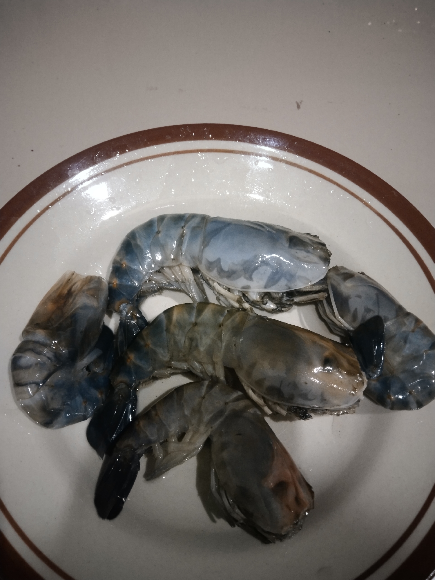 The image shows a plate of raw prawns. There are at least five prawns visible, some of which are overlapping. The prawns are a pale blue-grey color and appear to be fresh. They are arranged in a slightly chaotic manner on a white plate with a brown rim. The background is a plain, light-colored surface, possibly a table. There are no people visible in the image. The image is taken from a top-down perspective. There is no information in the image to indicate its location in Suak Lanjut, Indonesia.