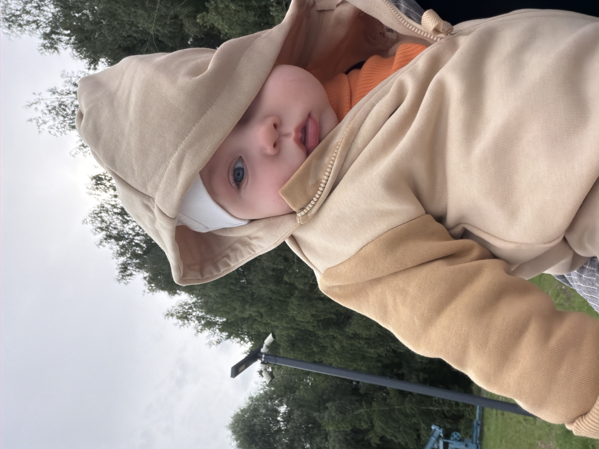 A close-up, selfie-style shot shows a baby with blue eyes, rosy cheeks, and parted lips, looking directly at the camera. The baby wears a white cap, an orange turtleneck, and a beige hooded sweatshirt. The hood of the sweatshirt is pulled up and partially covers the baby's forehead. The background features a grove of green trees and a cloudy sky. To the left, a black lamp post with solar panels and two lights is visible. A portion of a blue industrial object is also visible in the background. The scene is outdoors, likely in a park or open area, and the overcast sky suggests a temperate climate. The location is identified as Chaikovsky, Russia.