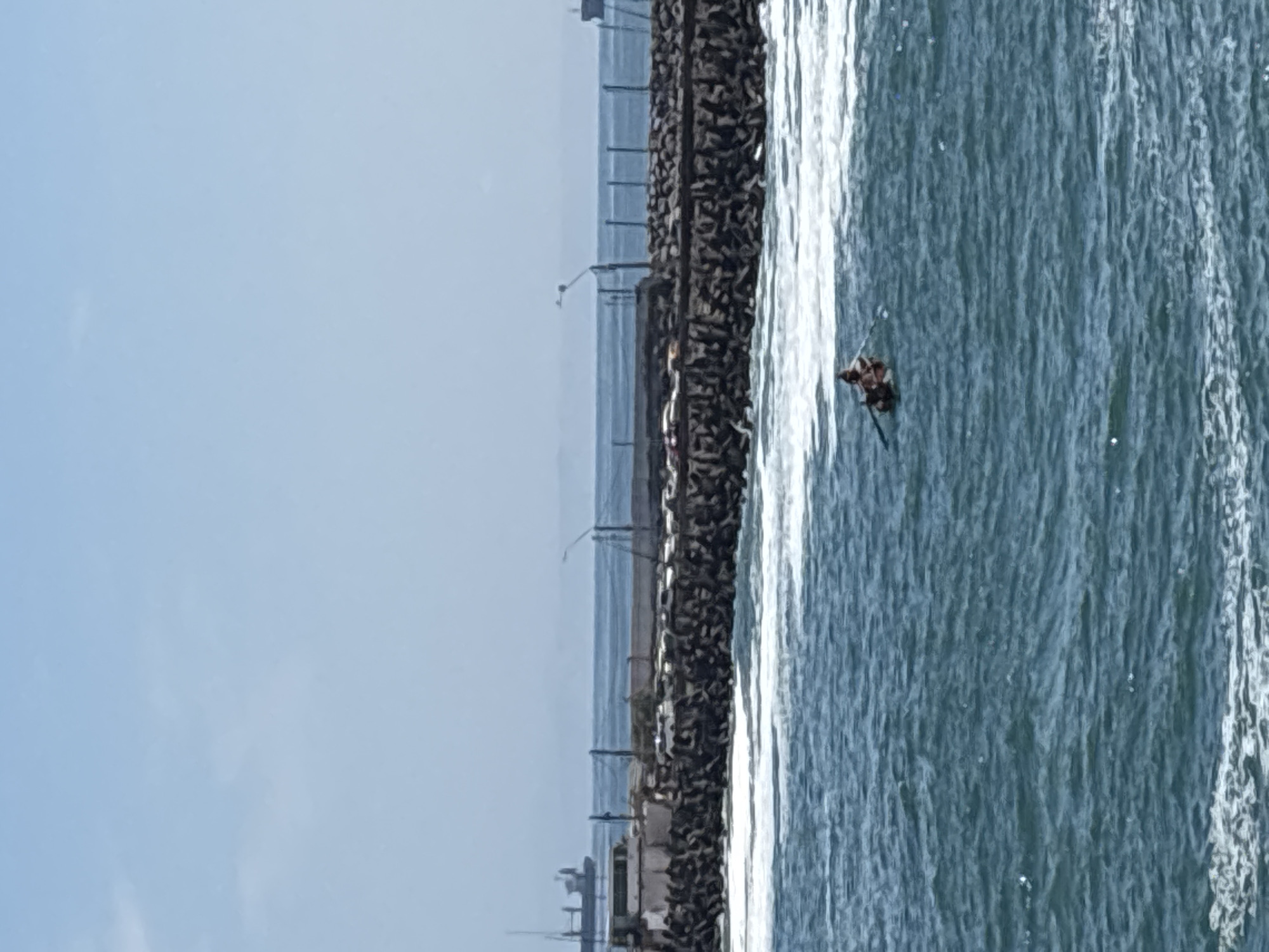 This image captures a vibrant coastal scene on a bright, clear day, likely in Arica, Chile, as indicated by the location context. The perspective is from above, looking down upon a section of a breakwater and the adjacent ocean.
In the foreground and extending into the mid-ground, a substantial breakwater or jetty is visible. It is constructed from numerous large, dark, interlocking rocks, forming a robust barrier. Along the top of this breakwater, a fence or railing can be seen, accompanied by several light poles or streetlights that stretch into the distance. Beyond the breakwater, the horizon shows distant, hazy land or structures, blending with the sky.
To the right of the breakwater, the ocean water is a striking blue-green, characterized by active waves. White foam is visible where the waves crash against the breakwater and in the open water. A lone individual is engaged in paddleboarding or possibly surfing. They are positioned on a board and appear to be actively paddling, navigating the water near the breakwater.
The sky, which occupies the upper left portion of the horizontally re-oriented image, is a serene, light blue with minimal, soft cloud cover, suggesting pleasant weather conditions. The overall atmosphere is one of outdoor activity and natural beauty. There is no visible text in the image.