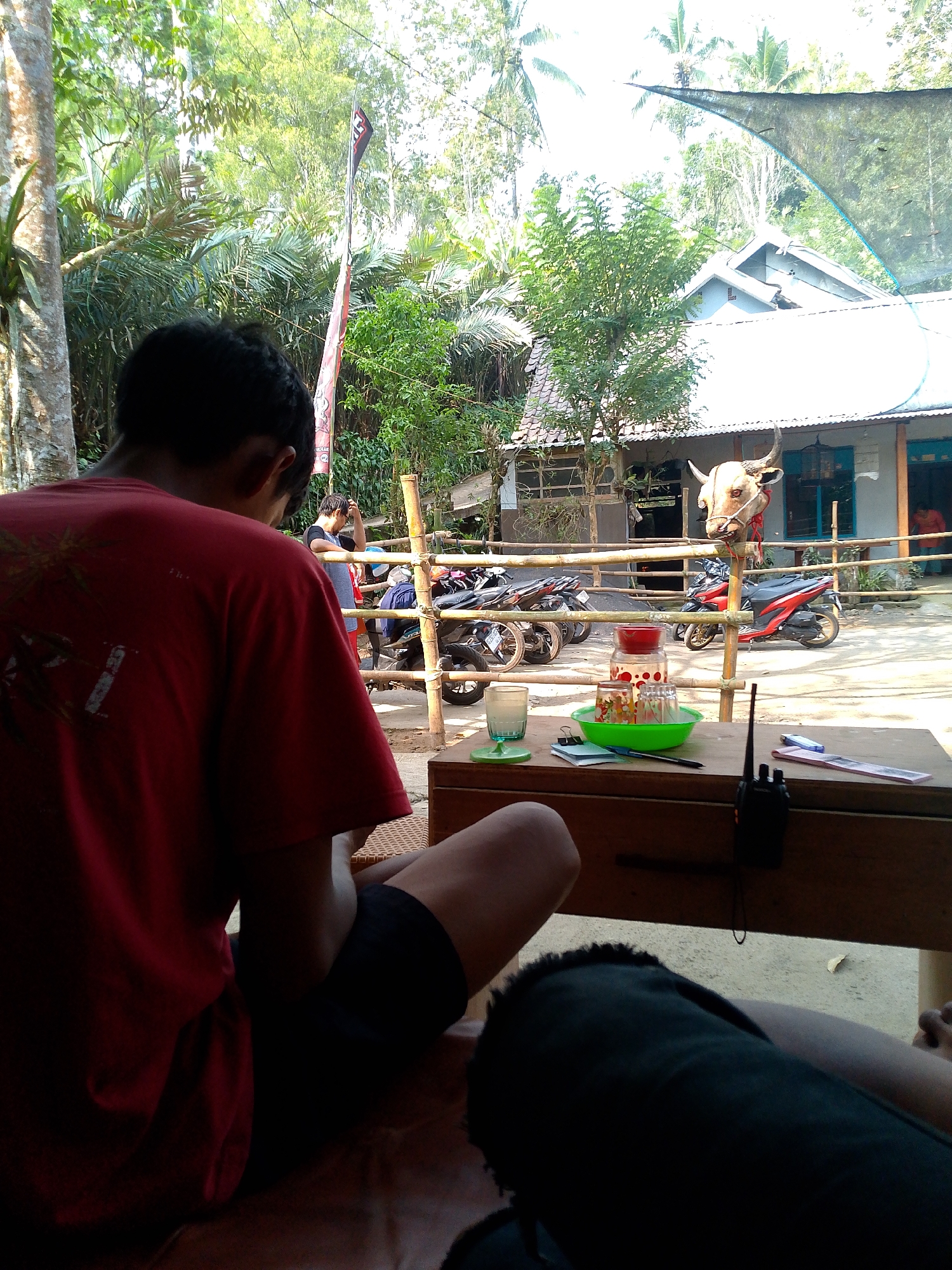 The image depicts a scene at an outdoor eatery in Pronojiwo, Indonesia, on a sunny day. In the foreground, a person wearing a red t-shirt and black shorts is seated, their back to the camera. To their right, a wooden table holds a green plastic bowl containing several colorful glasses, a red jar, a small glass of liquid, a notebook, a pen, and a black two-way radio. In the mid-ground, a bamboo fence separates the seating area from a dirt path. Several motorcycles are parked behind the fence. Further back, a decorative display features a mounted bull’s head with red ribbon accents, hanging from a wooden post. Behind the bull's head, a building with a white roof and light blue walls is visible, with a person in an orange shirt standing near an open doorway. The background is filled with lush green trees and palm fronds, indicating a tropical environment.