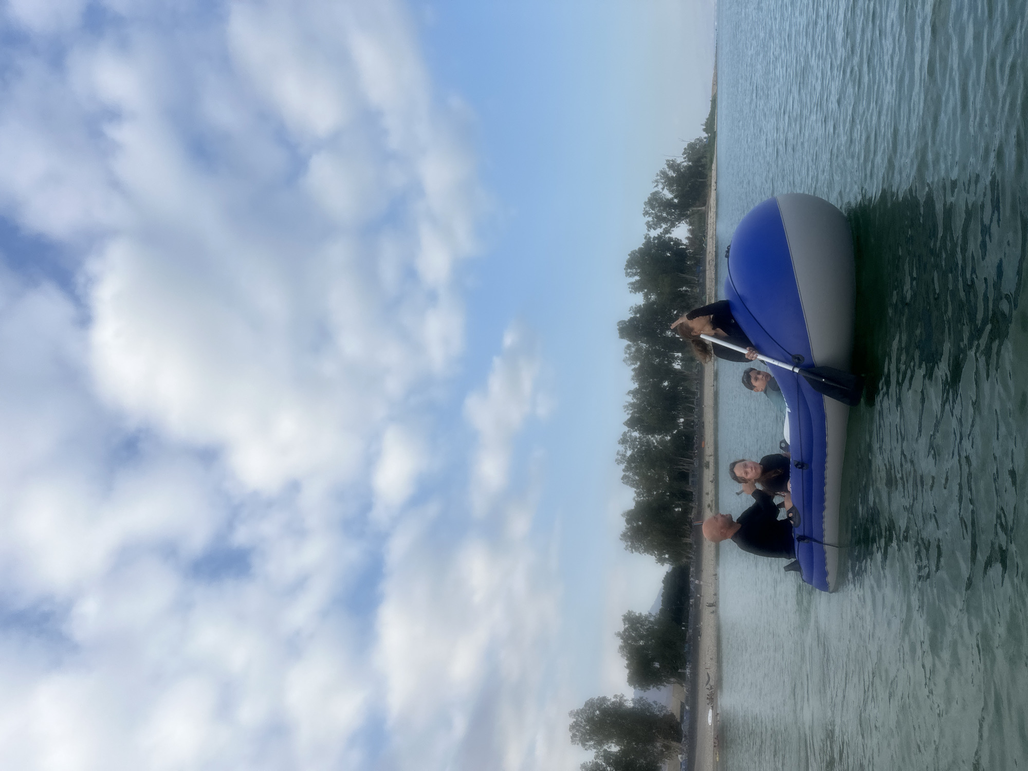 An inflatable raft with four people on board is sailing on the Sea of Galilee, near Tiberias, Israel. The raft is blue and gray and is being propelled by oars. A bald man wearing a black shirt is rowing. A young girl with dark hair is sitting behind him. Another young boy with dark hair is in the front of the raft, and a woman with long brown hair is also in the raft. The raft is on the water, and there is a sandy beach with trees in the background. The sky is cloudy and blue.