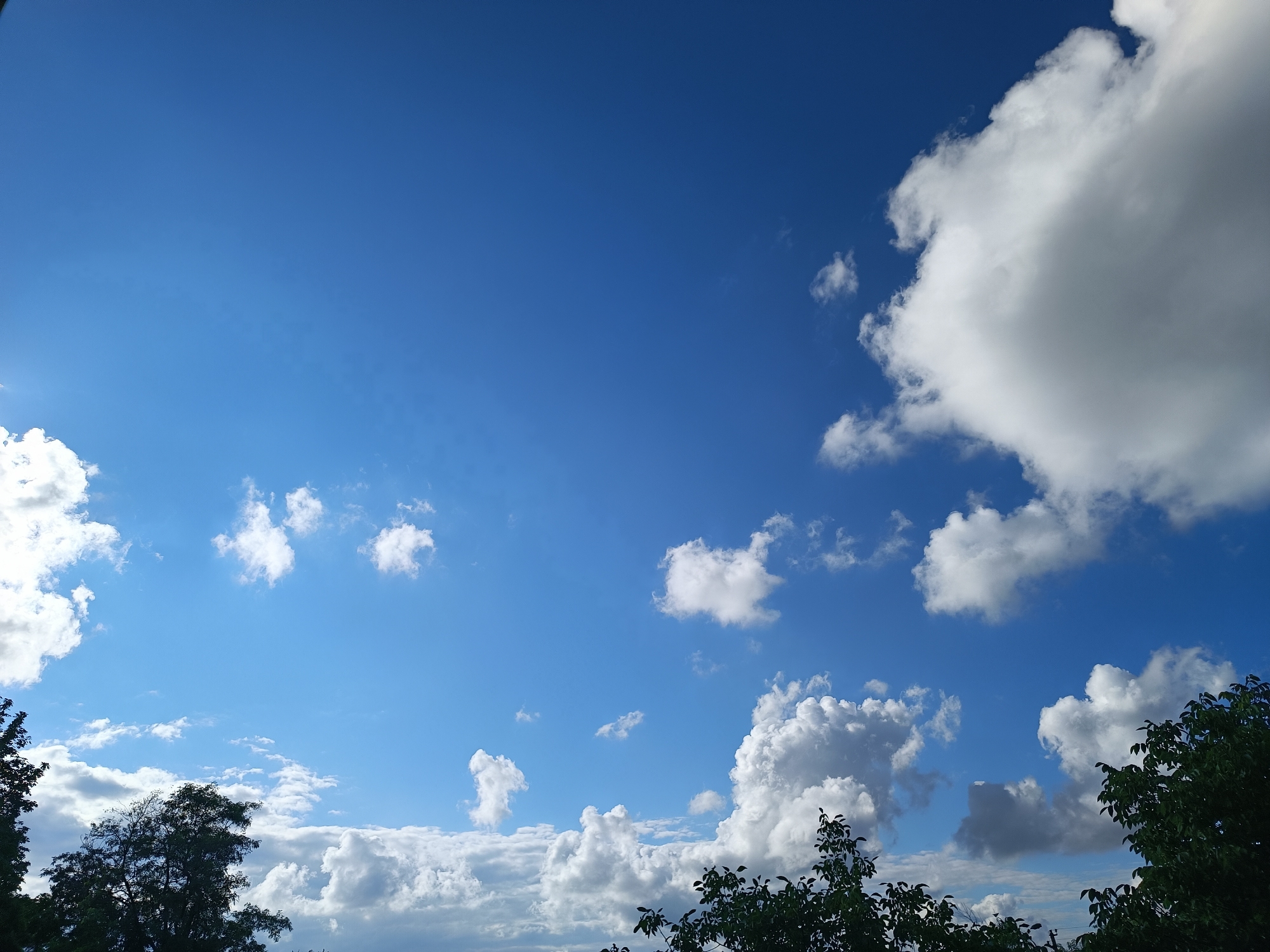 The image shows a vibrant blue sky with scattered white clouds, indicative of fair weather. In the foreground, the dark silhouettes of trees are visible along the bottom edge of the frame, suggesting an outdoor setting, possibly a park or a natural area. The lighting suggests it is daytime, with the sun positioned to the left, casting a subtle glow on some of the clouds. The image does not contain any people, specific buildings, or identifiable landmarks that would pinpoint a precise location within Volodymyrivske, Ukraine, but the overall scene depicts a natural, open-air environment.