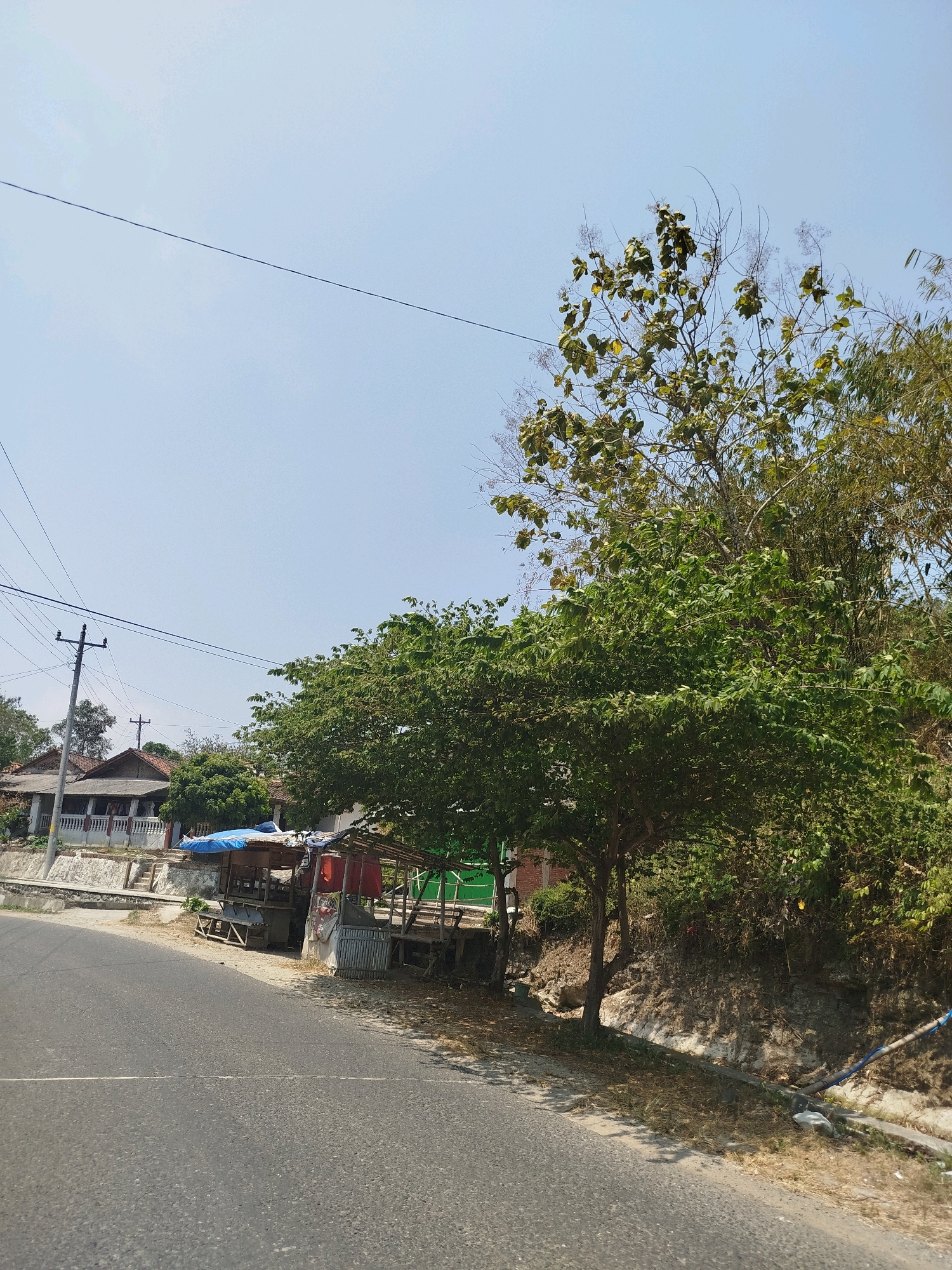 The image depicts a roadside scene in Kutosari, Indonesia. A paved road with a white line runs diagonally across the foreground. To the right of the road, a dry, overgrown ditch runs parallel to it, with a blue pipe extending from it. A slope covered in dry grass and rocks rises behind the ditch.
On the left side of the road, several structures are visible. A weathered wooden stall with a blue tarp roof and red accents stands by the roadside. Behind it, a house with a white railing and a tiled roof is partially obscured by trees. A utility pole with multiple wires stands in front of the house.
A large, leafy green tree dominates the right side of the image, casting shadows on the road and ditch. Behind it, a dense cluster of trees and bamboo grows on the slope. The sky is clear and pale blue. No people are visible in the scene.