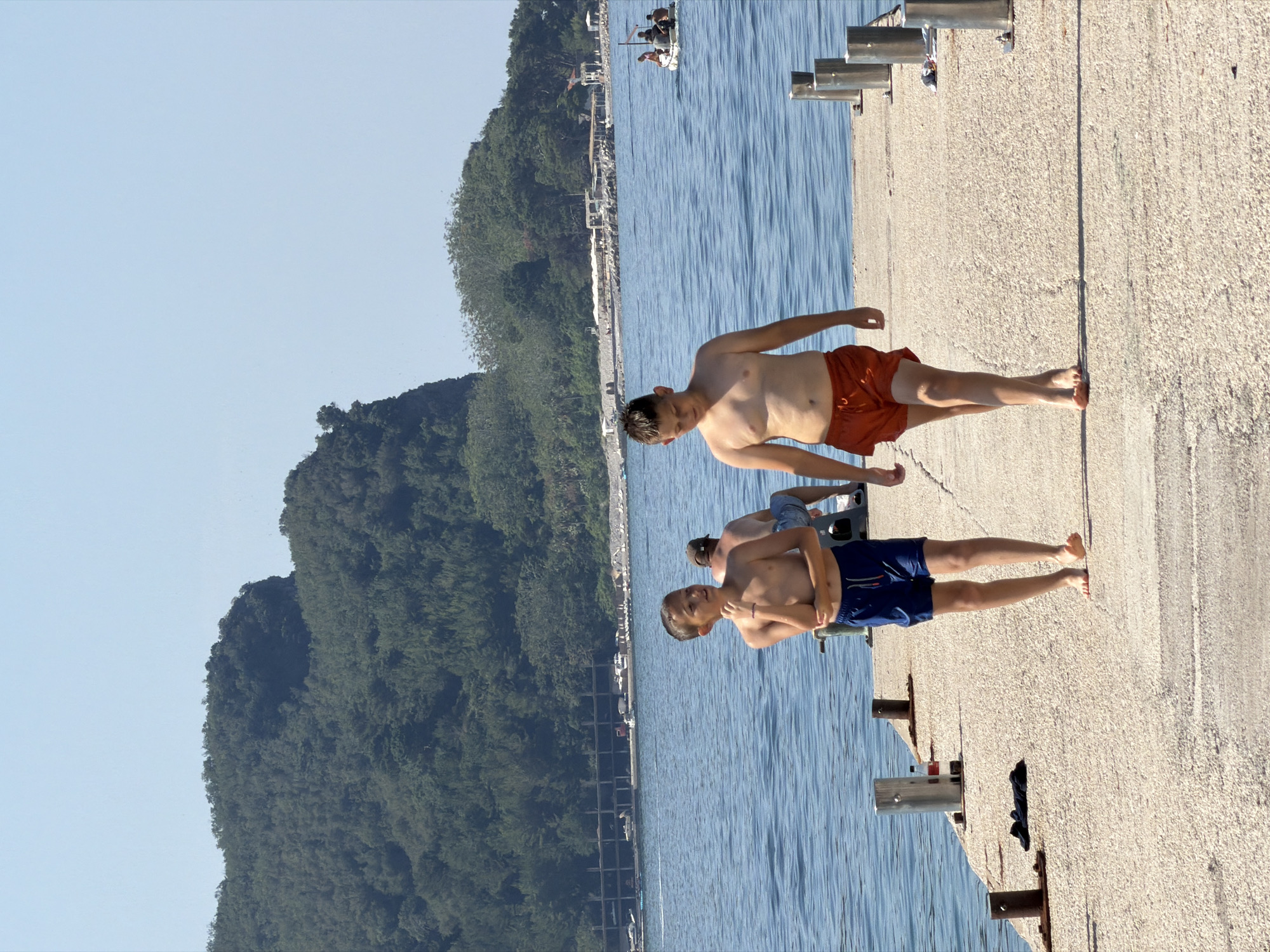 The image shows two young boys standing on a concrete pier next to a body of blue water. The boy closer to the camera is wearing orange swim trunks and looking down. The boy further away is wearing blue swim trunks and is looking at the camera with a slight smile. Both boys appear to be enjoying a sunny day. The background shows a lush green hillside covered in trees and a clear blue sky. There are some boats in the distance on the water, and some metal posts are visible along the pier. The sun appears to be high in the sky, suggesting it is midday. There is no visible text in the image.