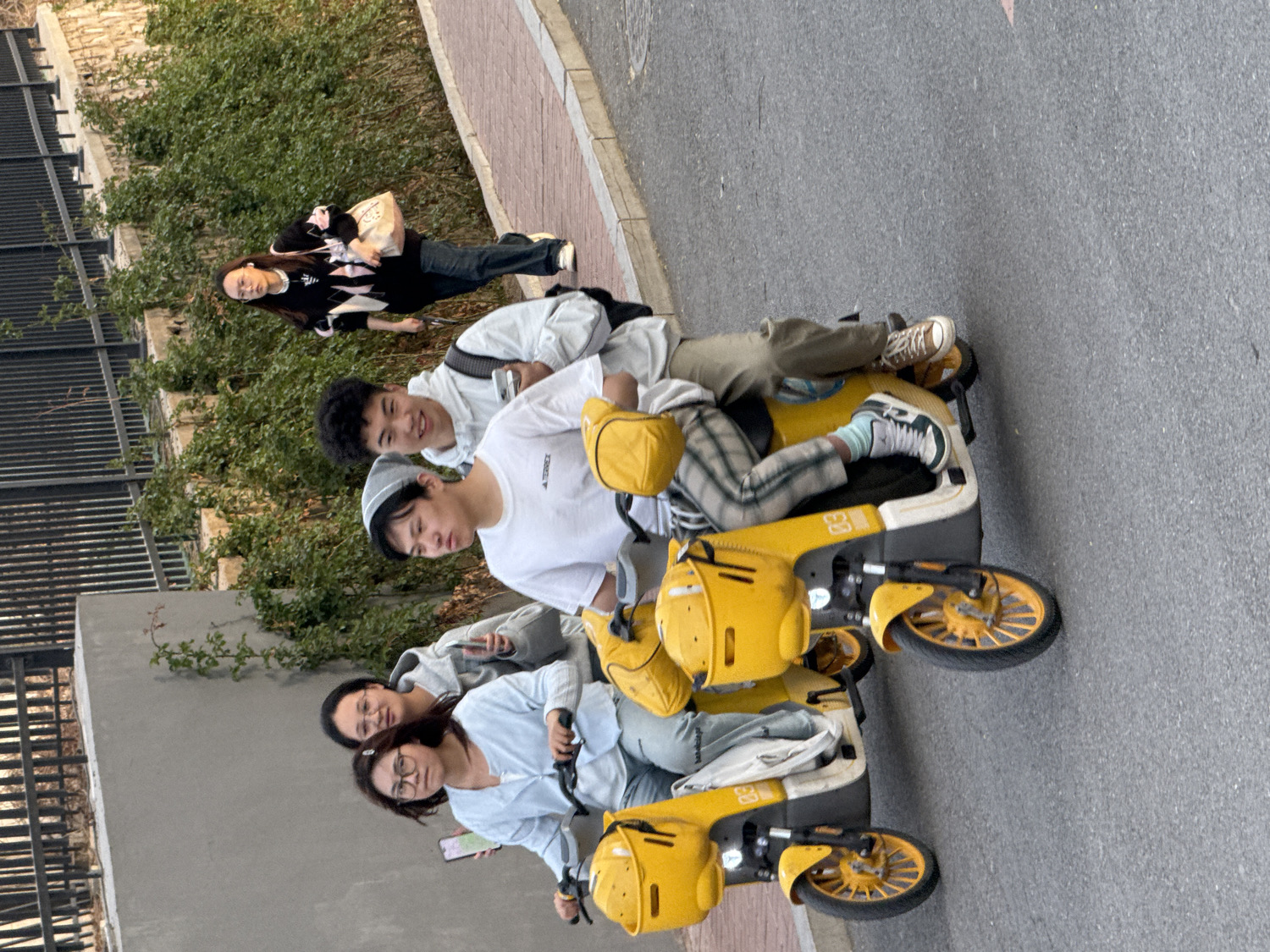 This media file captures a group of young people in what appears to be a casual outdoor setting, possibly in Zhongtun, China. The image is rotated 90 degrees clockwise.
The primary subjects are six young adults or teenagers, with four of them seated on two bright yellow shared electric bikes or scooters, and one standing further back, and another partially obscured. In the foreground, two individuals are on one yellow shared bike. The front person wears glasses and a light-colored top, holding a smartphone. The person behind them is mostly obscured. In the midground, on a second identical yellow shared bike, a young man wearing a grey beanie, white "TERREX" t-shirt, and plaid pants is in front, while another young man in a white hoodie smiles from behind him, holding a smartphone. Both bikes feature yellow baskets or compartments at the front and display the number "03" on their sides.
Further in the background, a young woman with long dark hair stands on a paved path. She is wearing a black and white patterned sweater/cardigan and blue jeans, carrying a light-colored tote bag.
The activity taking place suggests a leisurely outing or a shared ride. The four individuals on the bikes appear to be either resting or preparing to move, while the standing person seems to be observing or waiting for the group.
Notable details include the time of day, which appears to be late afternoon or early evening, characterized by soft, diffused natural light without harsh shadows. The weather seems mild and clear. The setting includes a paved asphalt road on the right, a brick sidewalk/path on the left, and lush green bushes alongside a dark metal fence and a concrete wall. The expressions of the visible faces are relaxed, with one person smiling. The shared electric bikes are a common sight in many Chinese cities, aligning with the provided location context.