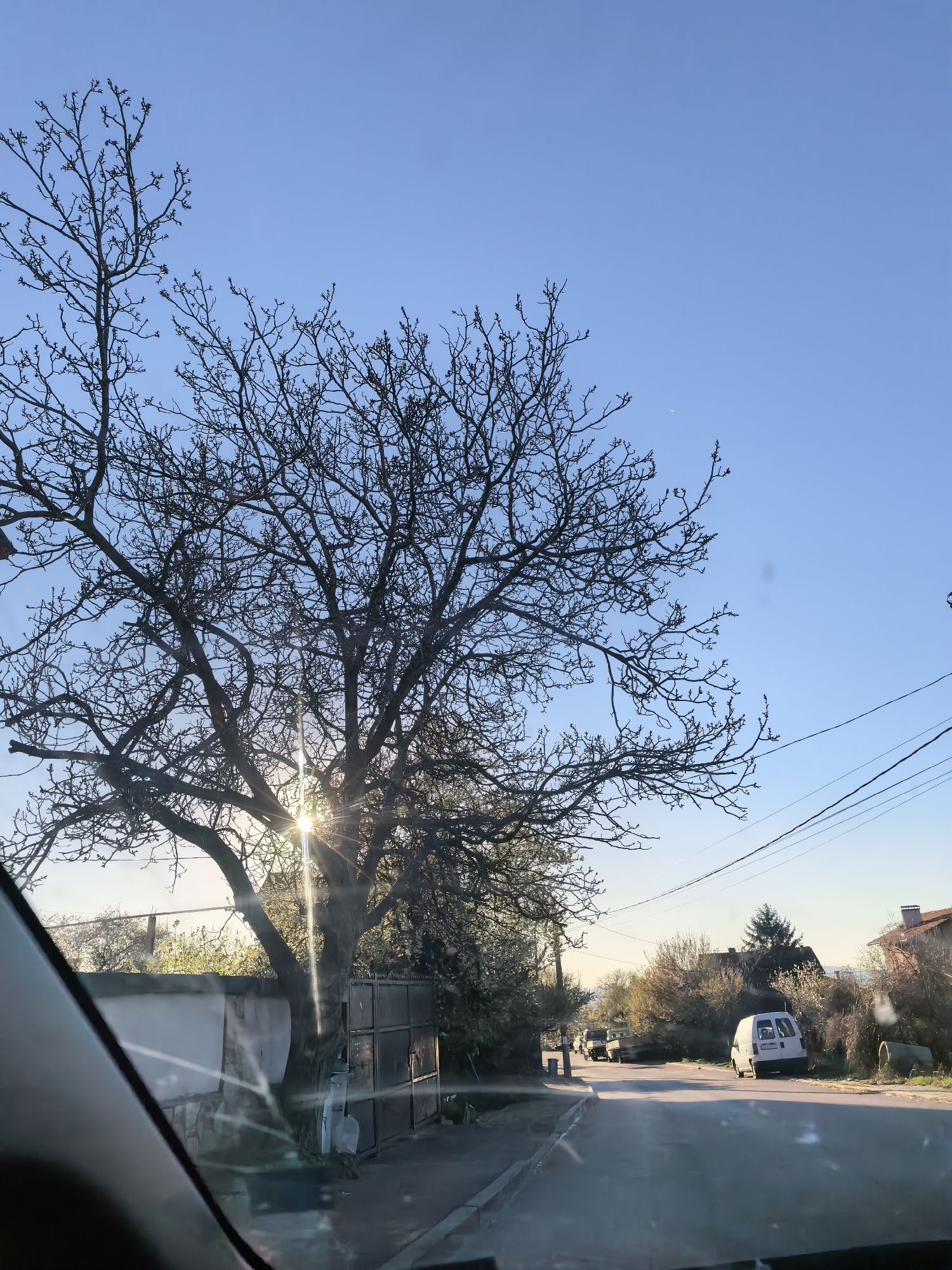 The image shows a street view, seemingly taken from inside a vehicle. A tree, largely bare of leaves, stands prominently in the foreground, with sunlight filtering through its branches. To the left is a fence and a white building structure. On the right, the road extends into the distance, flanked by trees, bushes, and parked vehicles. There is a white van parked on the side of the road, partially obscured by foliage. Overhead, power lines stretch across the sky. The sky is a clear blue. The location appears to be a residential area, with houses visible among the trees.