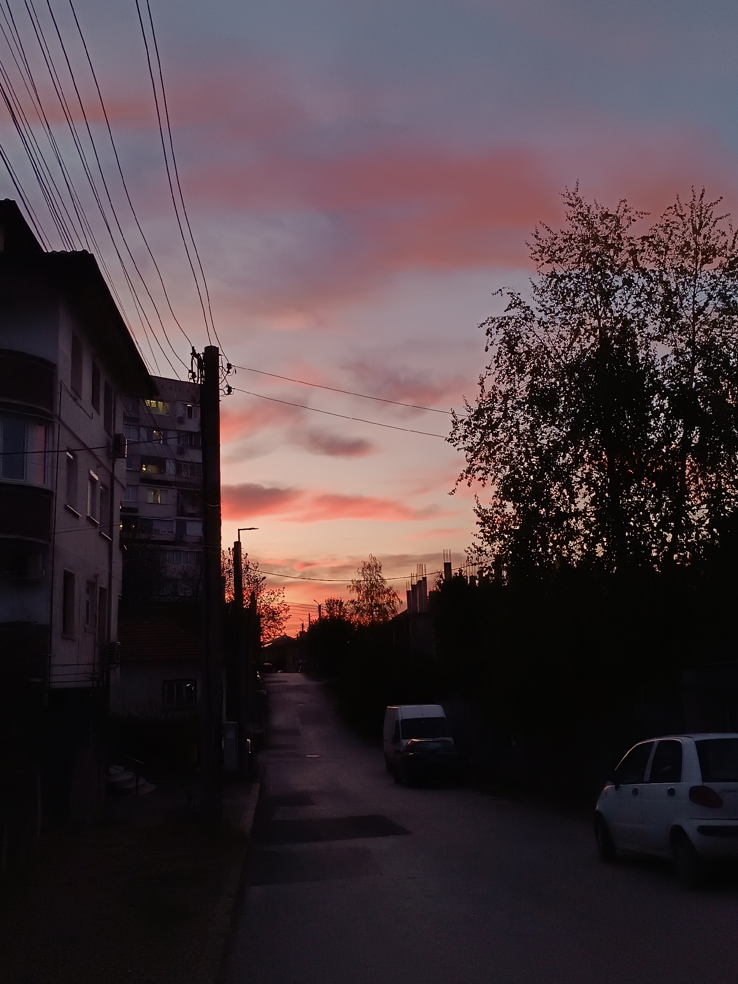 The image captures a serene urban street scene at dusk in Pleven, Bulgaria. The sky is a dominant feature, displaying a striking palette of vibrant pink and orange hues from the setting sun, fading into a softer purple and grey towards the top. Scattered clouds are painted across the horizon, illuminated by the last light of day.
In the left foreground, a multi-story residential building with balconies and visible windows stands, partially silhouetted against the twilight sky. Some windows show faint internal lights, indicating the encroaching darkness. A network of dark power lines crisscrosses the upper left portion of the frame, converging towards a prominent utility pole in the midground.
To the right, a large, densely foliated tree is silhouetted against the colorful sky, its intricate branches and leaves forming a dark contrast. The street below, possibly wet in areas, recedes into the distance, curving gently to the right. Two vehicles are visible on the road: a light-colored van in the midground and a small white hatchback closer to the right foreground, both largely enveloped in shadow. Further down the street, another utility pole or street light can be discerned, along with more silhouetted trees and distant buildings. The end of the street glows intensely with the vibrant orange light of the sunset.
The overall scene conveys a tranquil, reflective mood characteristic of twilight in an urban residential area. No people are visible, and no specific activities are taking place beyond the quiet presence of parked vehicles. There is no discernible text in the image.