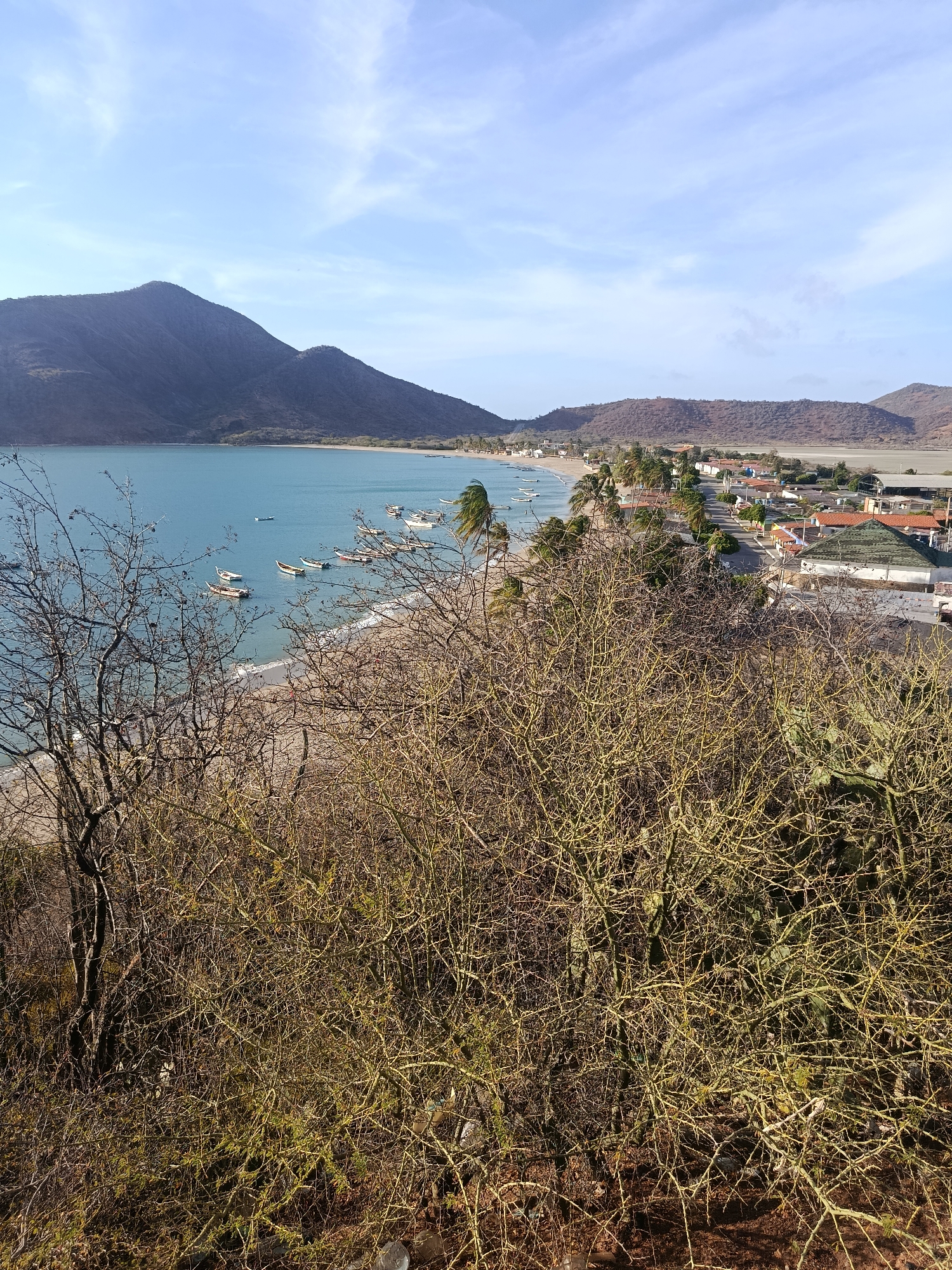 The scene is a high-angle view of the city of Juan Griego, Venezuela, specifically focusing on the coastline. The foreground is filled with dry, leafless vegetation, obscuring the view partially. The turquoise water of the bay is visible, dotted with several small fishing boats anchored near the shore. A sandy beach stretches along the coastline, lined with palm trees. A road runs parallel to the beach, separating the coast from a densely populated area of houses with red-tiled roofs. In the background, two mountains rise, creating a natural border to the town. The sky is pale blue with scattered wispy clouds, indicating a clear day.