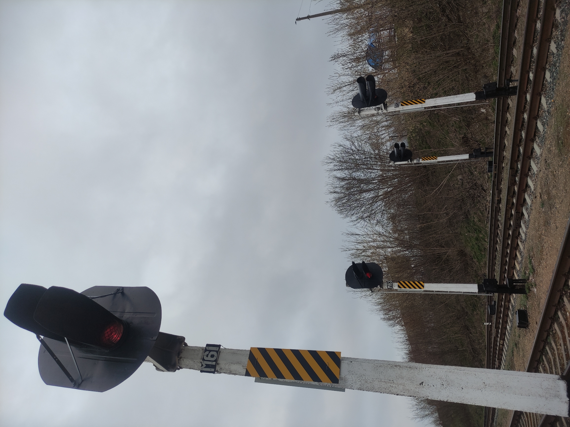The image depicts a railway line under an overcast sky, with multiple tracks visible running diagonally from the bottom right towards the upper left of the frame. Three railway signals are positioned along the tracks.
In the foreground, on the left side, a signal post stands with a red light illuminated. Below the signal head, a yellow and black striped warning panel is attached to the post, which is marked with the number "161".
Further along the tracks on the right side, two additional railway signals are visible. Both also feature yellow and black striped warning panels on their posts, and one of them is labeled "M63". The ground around the tracks consists of gravel and dirt, with some patches of grass.
A dense line of bare trees and bushes borders the railway tracks on the right, suggesting a late autumn, winter, or early spring season. The sky is a uniform light grey, indicating an overcast daytime. No people or trains are visible, and no specific activity is taking place in the scene.