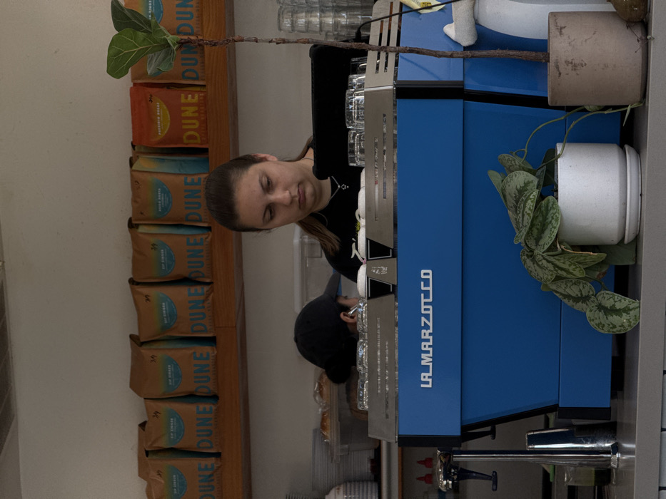 This image depicts the interior of a coffee shop, likely located in the city of Los Angeles, United States of America.
A female barista with light brown hair pulled into a ponytail, wearing a dark shirt and a silver necklace, stands behind a counter, looking downwards, actively engaged in a task. Her expression is neutral. To her left and further in the background, a second individual wearing a dark baseball cap is partially visible, also behind the counter.
The central object is a large, royal blue La Marzocco espresso machine positioned on a light grey countertop. The machine's warming tray on top holds several stacked clear drinking glasses and two white ceramic cups. To the left of the espresso machine, a chrome-plated faucet and a stainless steel milk frothing pitcher are visible. A black tablet in a stand rests on the espresso machine behind the primary barista.
Above the counter, on a wooden shelf, multiple brown paper bags of "DUNE" coffee are displayed, some labeled "ZIP ZINGER" and "ROJO ROASTA." One orange bag features "POSSIBLE WORLDS" branding.
On the countertop in the foreground, directly in front of the espresso machine, a small trailing plant with variegated green and silver leaves is potted in a white ceramic pot with a saucer. To the right, a taller, slender plant with broad green leaves is contained in a light brown terracotta pot. A white plastic jug is partially visible behind the taller plant. In the background, stacked white plates and a clear container holding light brown baked goods are present. The walls are white.