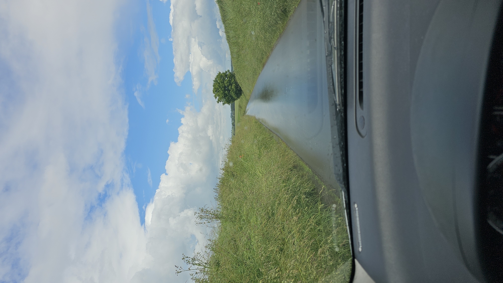 The image displays a serene rural landscape viewed from the interior of a vehicle. On the right side of the frame, a dark grey car dashboard and part of the windshield are visible, with scattered water droplets on the glass, indicating recent rain.
A wet, dark asphalt road dominates the midground, curving gently towards the horizon. Its surface reflects the bright sky, suggesting it is covered with standing water or is significantly damp. On either side of the road, tall, lush green grass stretches out, appearing wild and untamed, with varying shades of green and some drier stalks visible.
In the distance, a prominent, full-canopied green deciduous tree stands as a solitary focal point against the horizon. Beyond the tree and fields, the sky is a vibrant blue, filled with large, billowy white clouds that create a dynamic and bright atmosphere.
The scene conveys a peaceful daytime setting, likely after a rain shower, in a verdant countryside area, specifically in Thuin, Belgium. There is no visible text in the image.