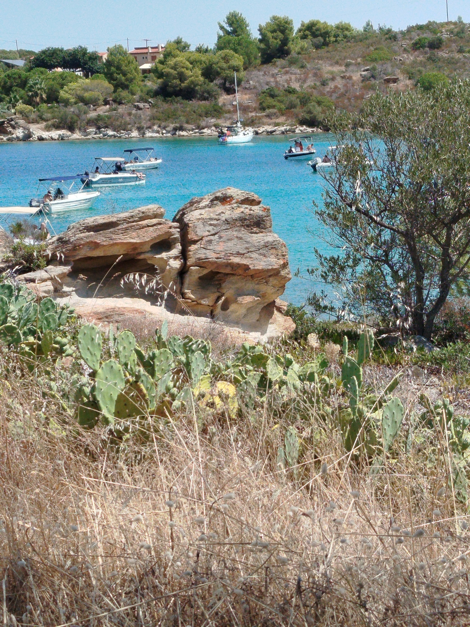 The image shows a coastal scene in the Sithonia Municipal Unit, Greece. In the foreground, there is dry, brown vegetation and prickly pear cacti. Further back, a rocky outcrop is visible. Beyond the rocks, the turquoise water of the sea is clear and bright. Several small boats with canopies are moored in the water. One boat has people in it, while another appears to be docked at a small pier. In the background, the coastline is lined with green trees and some buildings, including houses. A white sailboat is visible further out in the water. The sky is a clear, light blue.