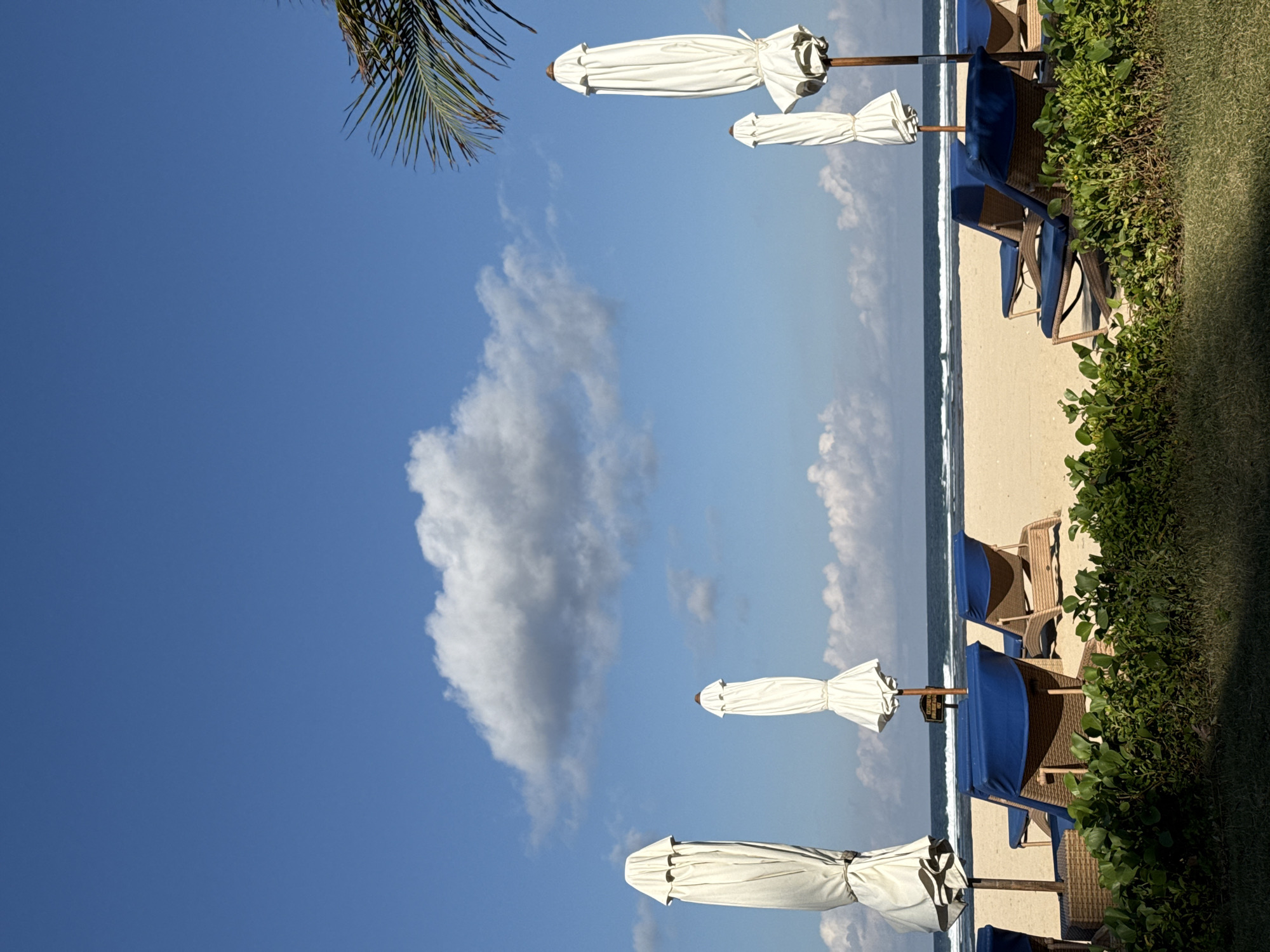 The image captures a vibrant, sunny tropical beach scene. In the foreground, neatly arranged beach chairs with dark blue cushions sit facing the ocean, accompanied by closed white beach umbrellas. The chairs appear to be made of wicker or a similar natural material. Lush green foliage and grass border the area where the chairs are placed, suggesting a resort or well-maintained beachfront.
Beyond the chairs and vegetation, a wide expanse of light-colored sandy beach stretches towards the water. The ocean is visible in the midground, with gentle waves breaking along the shoreline under a clear blue sky. Scattered white, fluffy clouds dot the sky, indicating fair weather. A palm tree frond is visible in the upper left corner, reinforcing the tropical setting.
The time of day appears to be bright daylight, likely mid-morning or early afternoon, with ample sunlight illuminating the scene. The atmosphere conveyed is one of peace and relaxation. No people are visible, leaving the scene tranquil and inviting. A small, dark sign with light text is attached to one of the umbrella poles, but the text is not clearly legible. The location is consistent with the provided context of Kuta Selatan, Indonesia.