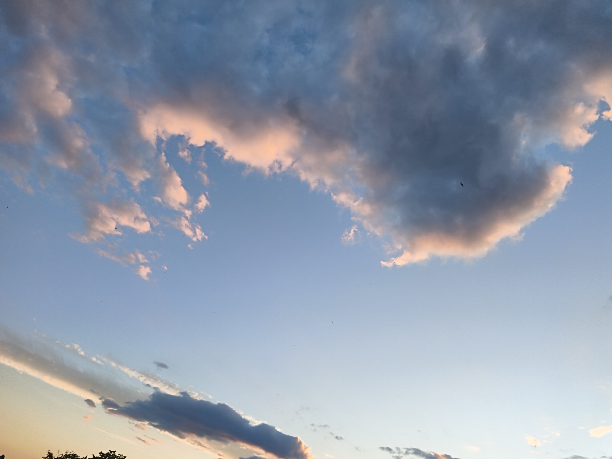 The image captures a wide expanse of the sky over Most, Czechia, illuminated by the soft glow of either sunrise or sunset. Dominated by various cloud formations, the scene transitions from a light blue near the horizon to a deeper, more muted blue higher up. Puffy, cumulus clouds, tinged with warm pink and orange hues, are scattered across the frame, contrasting with darker, denser grey clouds that occupy the upper right portion of the image. These darker clouds appear to be layered and textured. A single, small, dark silhouette of a bird is visible in flight against the darker clouds. In the lower portion of the image, the very top of silhouetted trees can be seen against a lighter, gradient sky, indicating the presence of land or vegetation below. The overall impression is one of a tranquil, atmospheric sky.