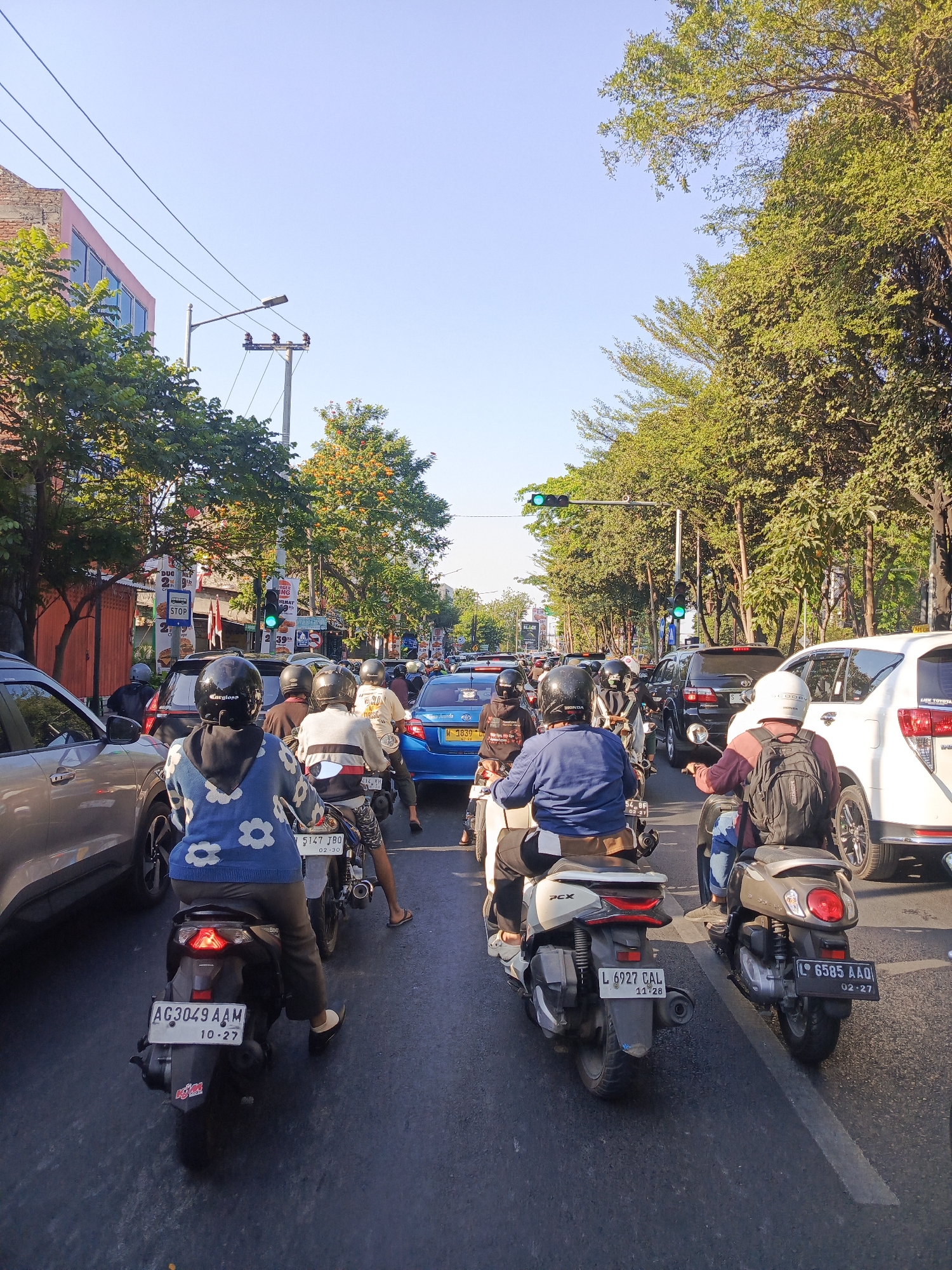 The image depicts a busy street scene in Surabaya, Indonesia, during daytime. The perspective is from behind a motorcycle, looking forward into a traffic jam. The road is paved and appears wet in some areas.
Several vehicles are present, including numerous motorcycles carrying riders, a blue car, a dark SUV, a white SUV, and a silver car on the left. Most motorcyclists are wearing helmets. The people on the motorcycles are dressed in casual clothing, with some wearing jackets and others t-shirts. Some riders are looking ahead, while others are looking to the side.
Traffic lights are visible and appear to be green, indicating that traffic is moving or about to move. Trees line both sides of the street, providing shade and contributing to the urban environment. Buildings with storefronts are visible along the street on the left. Power lines and utility poles are also present overhead. The sky is clear and blue. The overall atmosphere suggests a typical urban traffic situation.