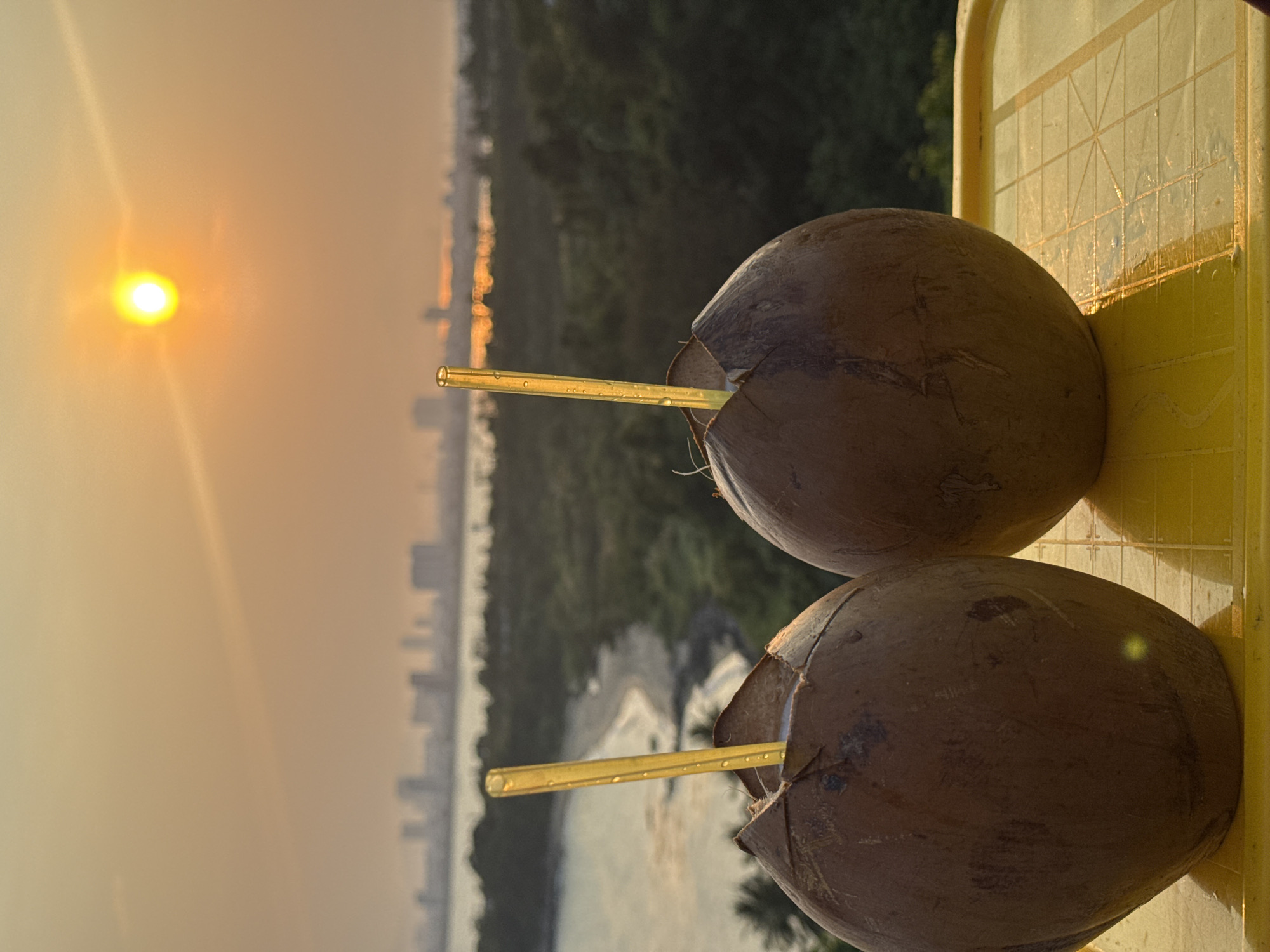 Two coconuts, each with a straw, sit on a yellow surface. In the background, the city of Đà Nẵng, Vietnam is visible under a hazy sky and sunset. The buildings appear to fade into the horizon. Vegetation can be seen between the coconuts and the cityscape.