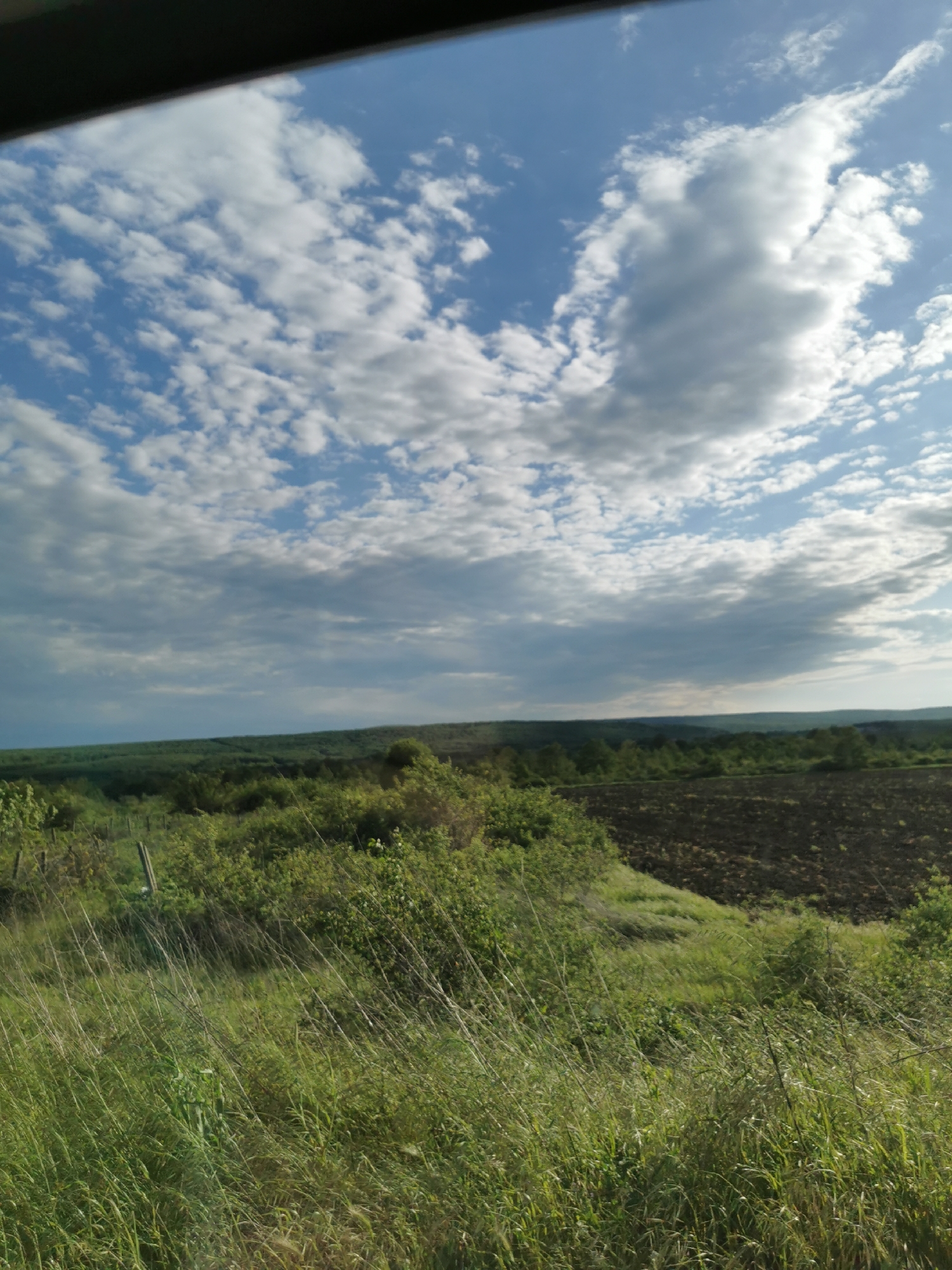 The image depicts a rural scene under a partly cloudy sky. A field of tall grass occupies the foreground, leading to a small rise covered with bushes. Beyond this, a dark, plowed field is visible. In the distance, a line of trees marks the horizon. The location is potentially in the Rudnik, Bulgaria area, as requested, but this cannot be confirmed with certainty from the image alone. The perspective suggests the image was taken from a slightly elevated position, perhaps through a window, evidenced by the dark frame at the top. There are no people visible in the image.