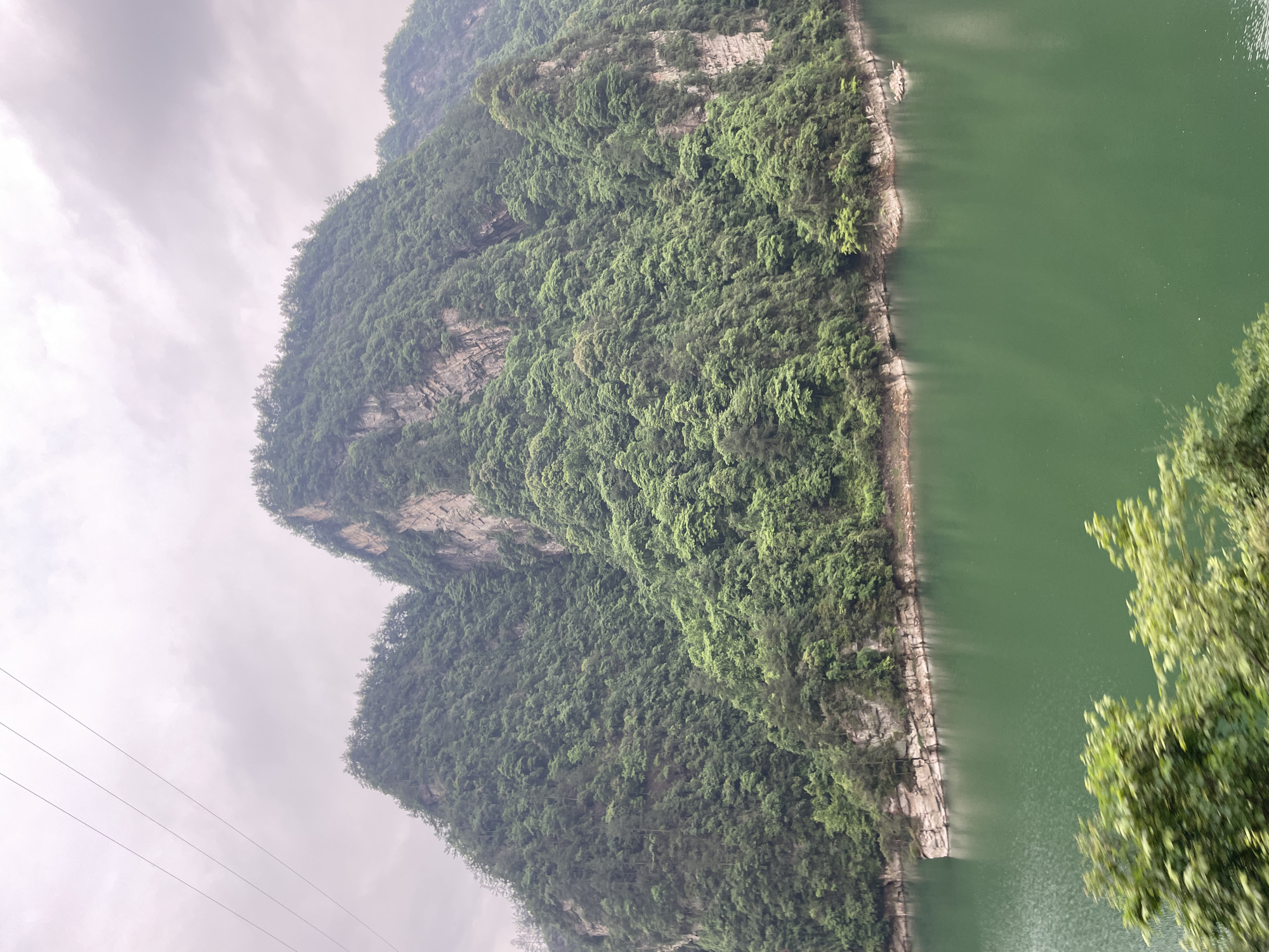 The image shows a landscape in Wulingyuan, China. Two mountains covered in dense green vegetation rise abruptly from a body of green water. The mountains have rocky cliffs and crevices visible beneath the foliage. The sky is overcast and grey. Power lines are visible in the upper left. Branches with green leaves are in the lower right corner, possibly obscuring part of the scene.