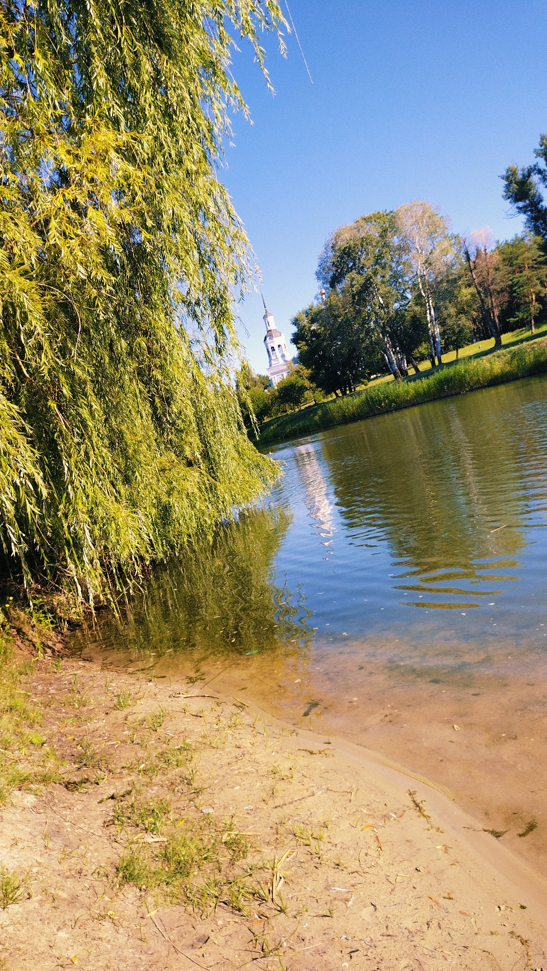 The image depicts a serene waterside scene on a sunny day, with a clear blue sky overhead. In the foreground, a sandy bank is partially covered with sparse green grass and scattered dried leaves. To the left, the drooping branches of a large willow tree with vibrant green foliage hang over the bank and the water's edge.
The body of water, likely a river or lake, has a calm surface reflecting the surrounding environment, including the willow tree and the sky. The water is clear enough to reveal the sandy bottom near the shore.
In the middle ground, across the water, a lush green grassy bank is lined with a variety of trees, including deciduous and coniferous types. Prominently visible amongst the trees is the white spire of a church or bell tower, reflecting in the water. The architecture suggests it could be a historical or religious building. The overall impression is one of natural beauty and tranquility, a peaceful spot within or near the city of Horishni Plavni, Ukraine.
