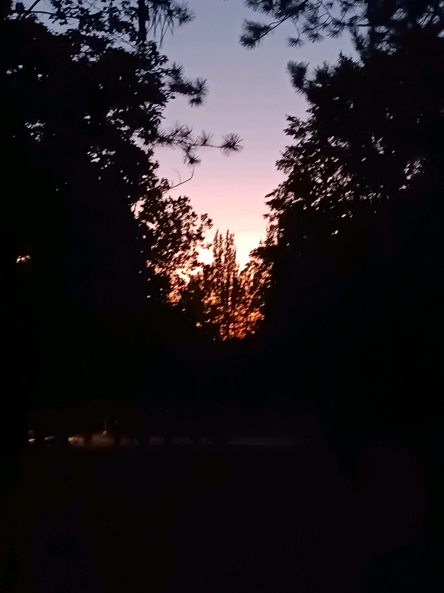 The image depicts a sunset viewed through the silhouettes of trees. The sky transitions from a pale lavender at the top to a warm orange and pink hue closer to the horizon. The trees frame the sunset, creating a V-shaped opening. The foreground is dark, suggesting it is either late evening or early morning. There are no visible people or specific landmarks to determine the exact location within Chișinău, Moldova. The scene is natural and tranquil.