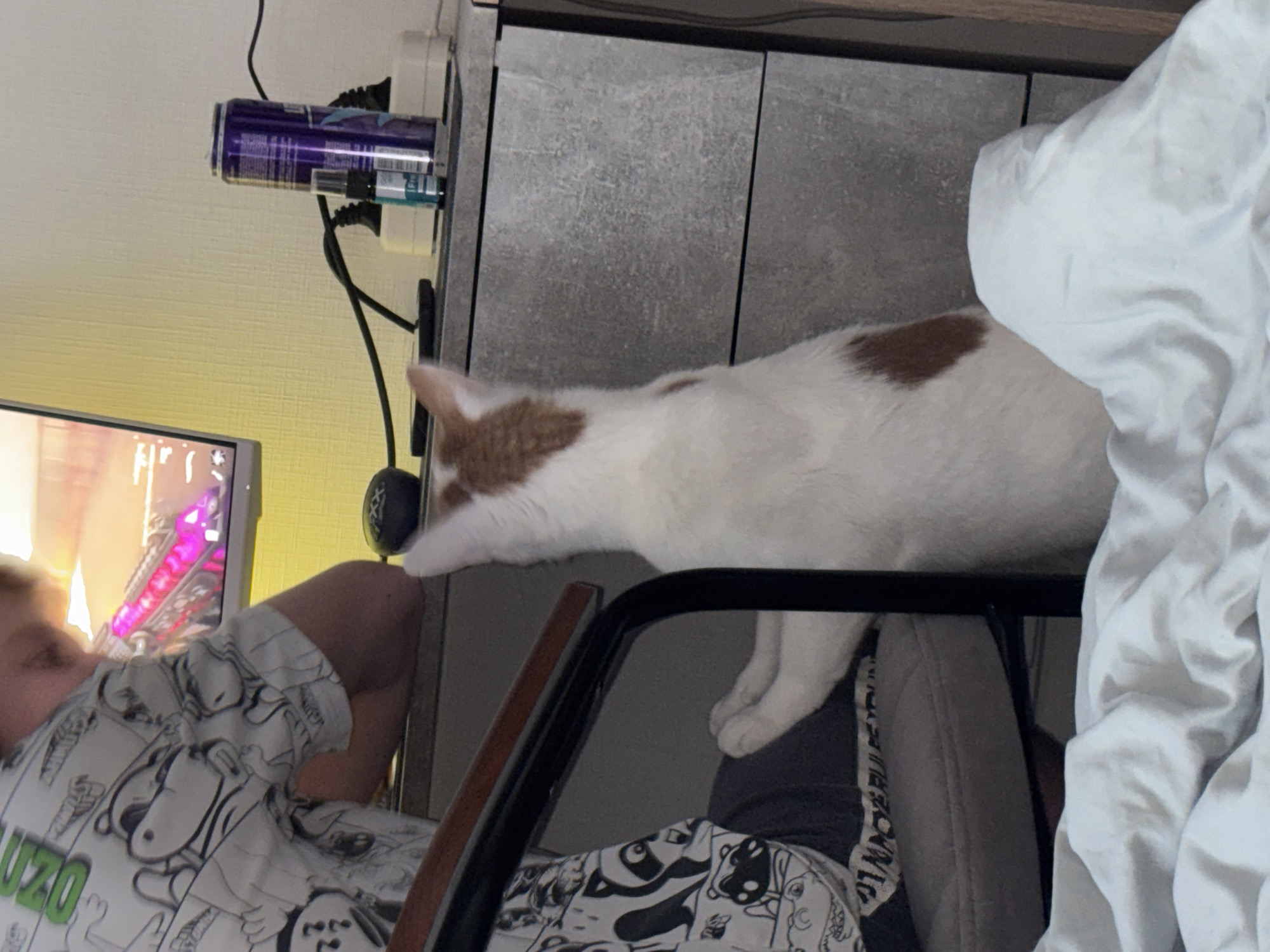 The image captures an indoor scene featuring a cat and a person at a desk. A white cat with prominent brown patches on its head and back is positioned on a light-colored desk, extending a paw towards the left side, seemingly interacting with something near a computer monitor.
To the left, a person is partially visible, sitting in a chair and looking towards the monitor. The person is wearing a white t-shirt adorned with black cartoon-like characters and the green text "UZO" on the shoulder/chest area. The computer monitor displays bright, colorful graphics, suggesting it might be showing a video game or a vibrant digital interface.
On the desk, behind the cat's head, are a purple energy drink can, which appears to be a Monster Ultra, and a small clear spray bottle. Multiple black cables are plugged into a power strip visible behind these items. The wall in the background is a light, possibly cream or yellow, color. To the right of the cat, a crumpled white blanket or bedding is visible, suggesting a bed or soft furnishing nearby. The lighting is artificial, suitable for an indoor setting.