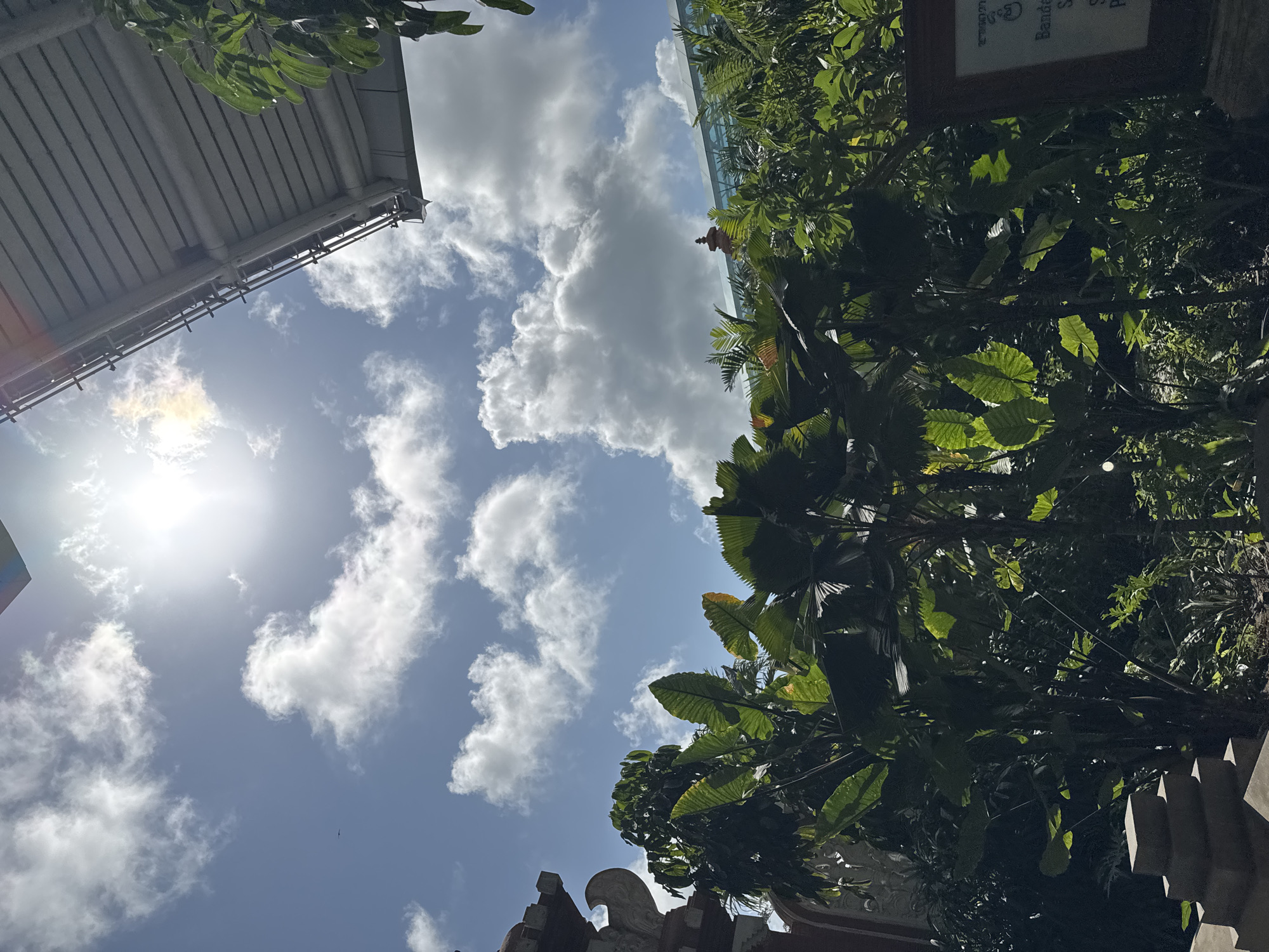 The image depicts a sunlit outdoor scene in Kuta, Indonesia, featuring lush tropical foliage and a clear blue sky with scattered white clouds. The sun is bright, casting a strong light and creating lens flare in the upper part of the frame. In the foreground, dense green plants, including large-leafed tropical varieties, dominate the view. To the left, a hint of ornamental stonework, possibly part of a building or structure with intricate carvings, is visible. At the top right, a portion of a modern building's roof, constructed with metal sheeting and supporting beams, extends into the frame. In the background, beyond the greenery, parts of other structures are visible, including what appears to be a contemporary glass-enclosed walkway and a decorative red spire on a building. The overall impression is one of a vibrant, tropical environment with a mix of natural and architectural elements.
