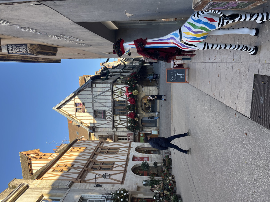 This image depicts a clear-day street scene in Dijon, France, specifically on Rue des Forges, characterized by historic half-timbered architecture.
In the immediate foreground, to the right, a white, life-sized statue of a zebra-like animal is positioned on the sidewalk, facing away from the viewer and slightly left. This statue features vertical rainbow stripes on its neck and body, traditional black and white zebra stripes on its legs and hindquarters, a dark red fringed shawl draped over its neck, and a dark, possibly woven hat on its head. Adjacent to the statue, a wooden A-frame sign displays "Ouvert ! Bienvenue !" in white chalk on a black background, accompanied by a simple animal drawing.
A lone male figure walks across the cobblestone street from left to right in the midground. He is dressed in a dark puffy jacket, dark jeans, and light-colored shoes, with his head obscured by a dark beanie.
The left side of the street features a multi-story half-timbered building with light-colored infill and dark timber frames. Its lower level has arched entrances, and its facade is decorated with white Christmas baubles and greenery. Merchandise, including plants and floral arrangements, is displayed outside this establishment.
The central background is dominated by another multi-story half-timbered building with a prominent gabled roof. This building features a large, dark archway at street level, beneath which several individuals are visible. Its facade is adorned with extensive red Christmas decorations, including large red bows and green garland.
To the right, a plainer, grey-faced building with windows and a decorative wrought-iron balcony on an upper floor borders the street.
The street surface is paved with light grey material, and the sky is clear blue. Sunlight illuminates the left side of the street and portions of the buildings, casting distinct shadows. Several other individuals are discernible in the midground and background, some walking, others standing.