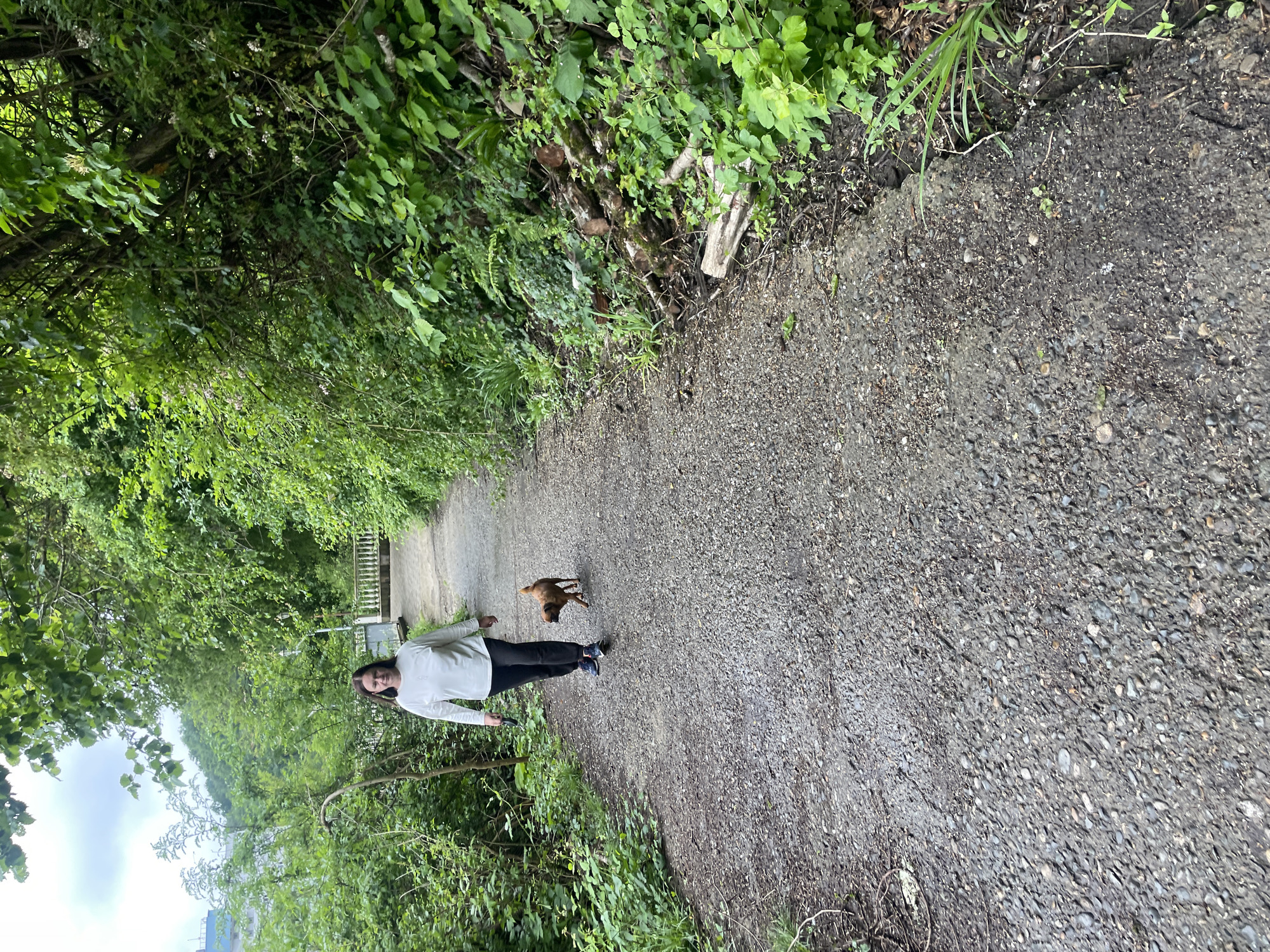 A long, straight gravel path bisects the frame, running away from the viewer. A woman stands on the path, facing the camera, with a small brown dog running in front of her. She wears a white long-sleeved shirt and dark pants, holding something small and dark in her left hand. The path is bordered by dense green vegetation on both sides, consisting of various types of leaves, plants, and shrubs. Overhead, trees create a partial canopy. In the distance, the path leads towards a wooden structure, possibly a bridge or observation point. The image is slightly tilted clockwise. The exact location in the city of Razdolnoye, Russia, cannot be determined from the image.