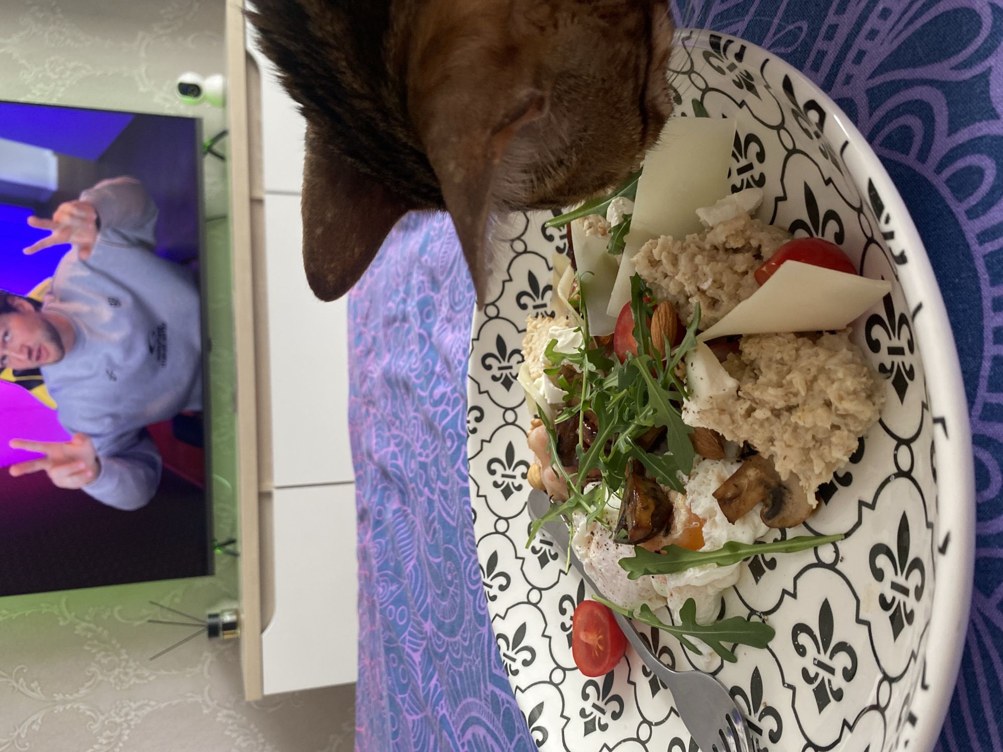 A close-up shot, slightly rotated, shows a cat sniffing a plate of food. The food is arranged on a black and white patterned plate and includes what appears to be scrambled eggs, sliced tomatoes, mushrooms, cheese shavings, and arugula. To the left, a television screen displays a person making a hand gesture. The background includes a patterned blue and purple cloth or covering. The location is unspecified and there is no explicit indication it is in the city of Chaikovsky, Russia.