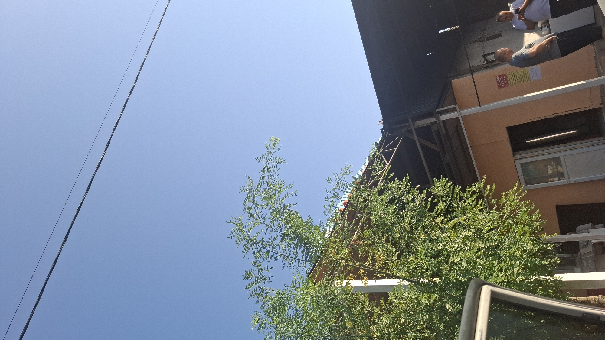 The image depicts a sunny outdoor scene in Шұбарсу, Kazakhstan, possibly near a building with an orange facade and an open roof structure. A large, leafy green tree is prominent in the foreground on the left, partially obscuring the building and a white pillar. Two men are visible near the building on the right. One man in a grey t-shirt and black pants stands looking to the right. Another man in a white t-shirt and dark pants is also present, looking down at his phone. The building appears to have several doorways or entrances, and a sign with text in Cyrillic script is affixed to the orange wall. Overhead, two dark power lines stretch across a clear blue sky. The lower left corner of the image shows a sliver of a vehicle's interior, specifically the door frame.