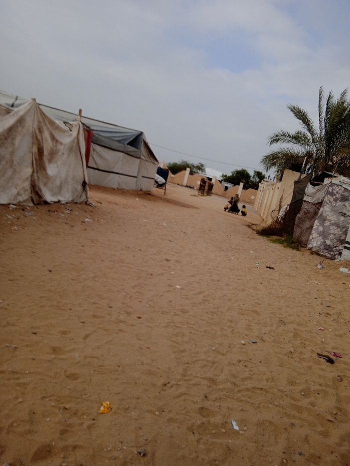 The image depicts an outdoor scene in what appears to be a sandy, arid environment, possibly an informal settlement or camp. The foreground is dominated by a wide expanse of light brown sand, forming a pathway or open area. Scattered across the sand are small pieces of litter, including wrappers and plastic debris, along with tiny pebbles. Visible impressions and footprints suggest activity on the ground.
On the left side of the frame, several makeshift structures or tents are visible. The closest one is constructed from a light-colored, possibly white or beige, canvas-like material, appearing somewhat worn and draped. Wooden poles serve as supports for its frame. Behind it, another similar shelter is partially visible, also made of fabric, with elements of what might be a blue tarp incorporated into its construction.
Along the right side of the sandy path, further into the midground, there is a low, light-colored wall or structure, possibly made of concrete blocks or mud brick. A prominent green palm tree with lush fronds stands tall to the right of this wall, adding a touch of natural vegetation to the scene. Adjacent to the palm tree and behind the wall, additional shelters are visible, some constructed from patterned or camouflage-like fabrics and tarps.
In the midground, towards the right side of the path, a small group of people, appearing to be adults and children, are gathered. They are seated or crouching on the sandy ground, dressed in dark clothing. Their activity is not clearly discernible but they appear to be resting or engaged in a quiet, stationary activity. Further into the background, more simple structures and sparse green vegetation can be seen under a hazy or overcast sky, which is light gray-blue.
The overall impression is one of a humble, potentially temporary settlement in a desert or semi-desert region. The light is soft and diffused, suggesting an overcast day or early morning/late afternoon, as there are no harsh shadows. No discernible text is visible in the image.